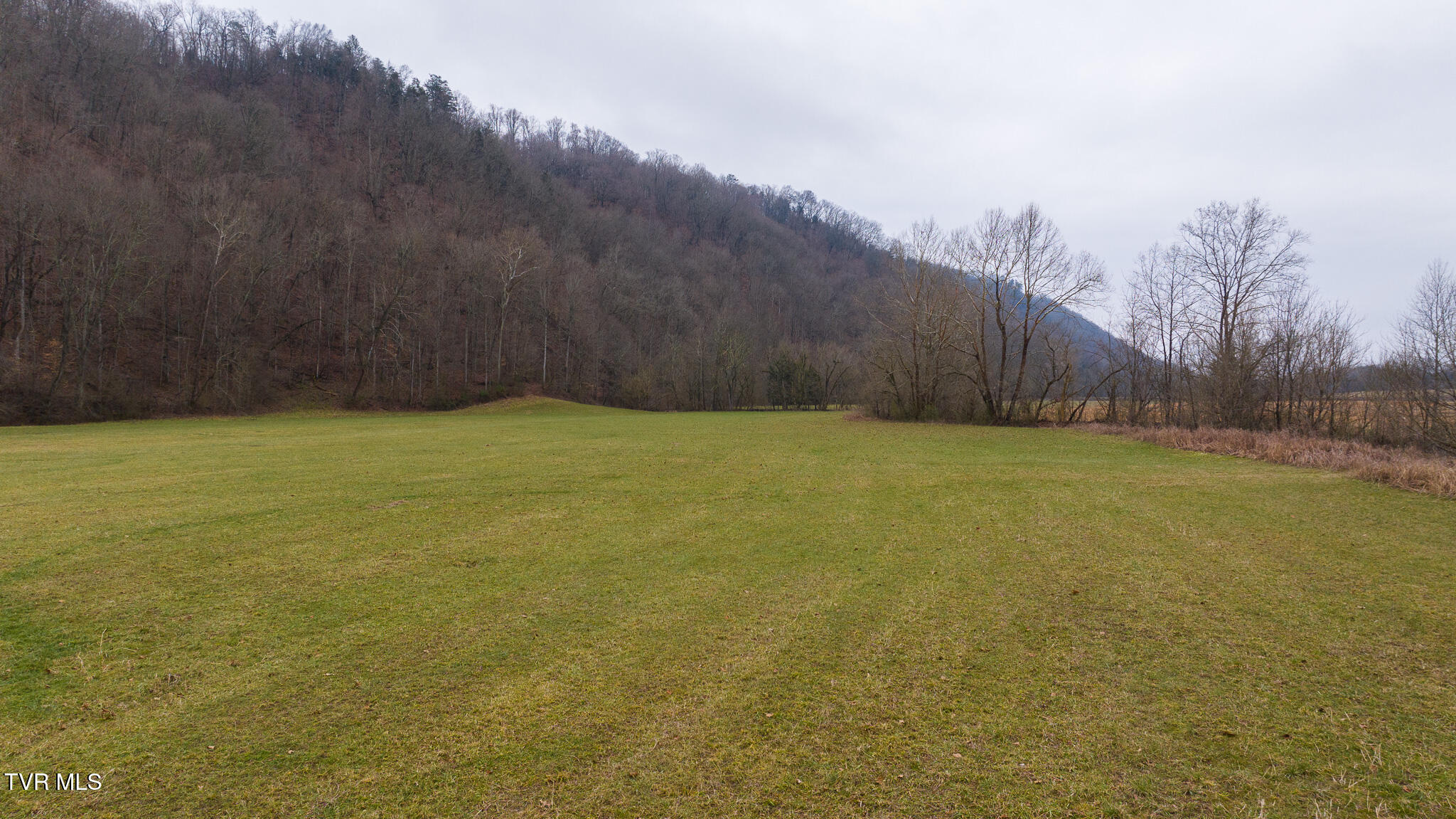 0 Gap Creek Road Property Photo 8
