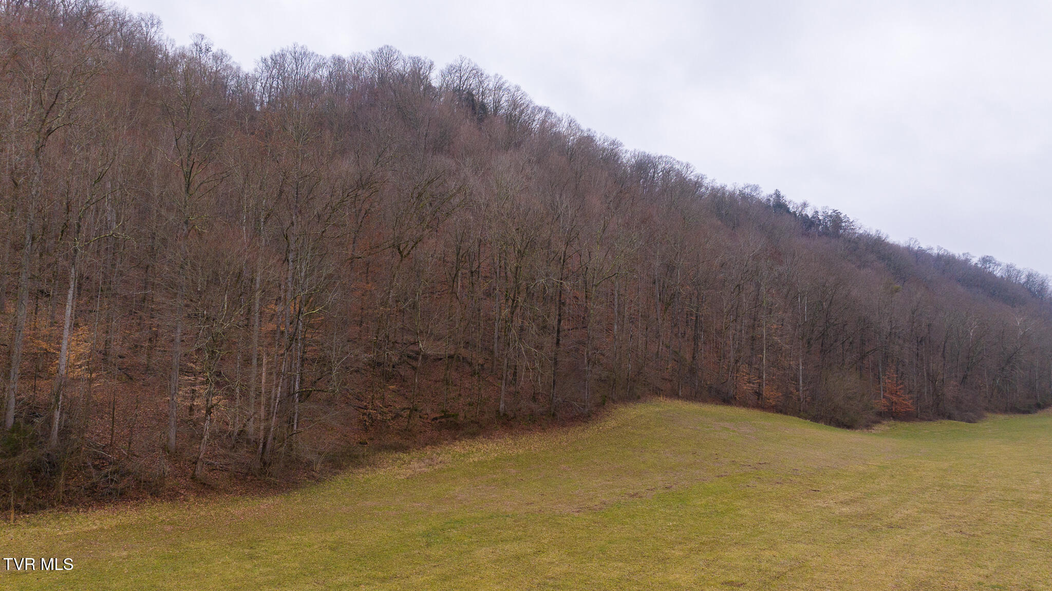 0 Gap Creek Road Property Photo 13
