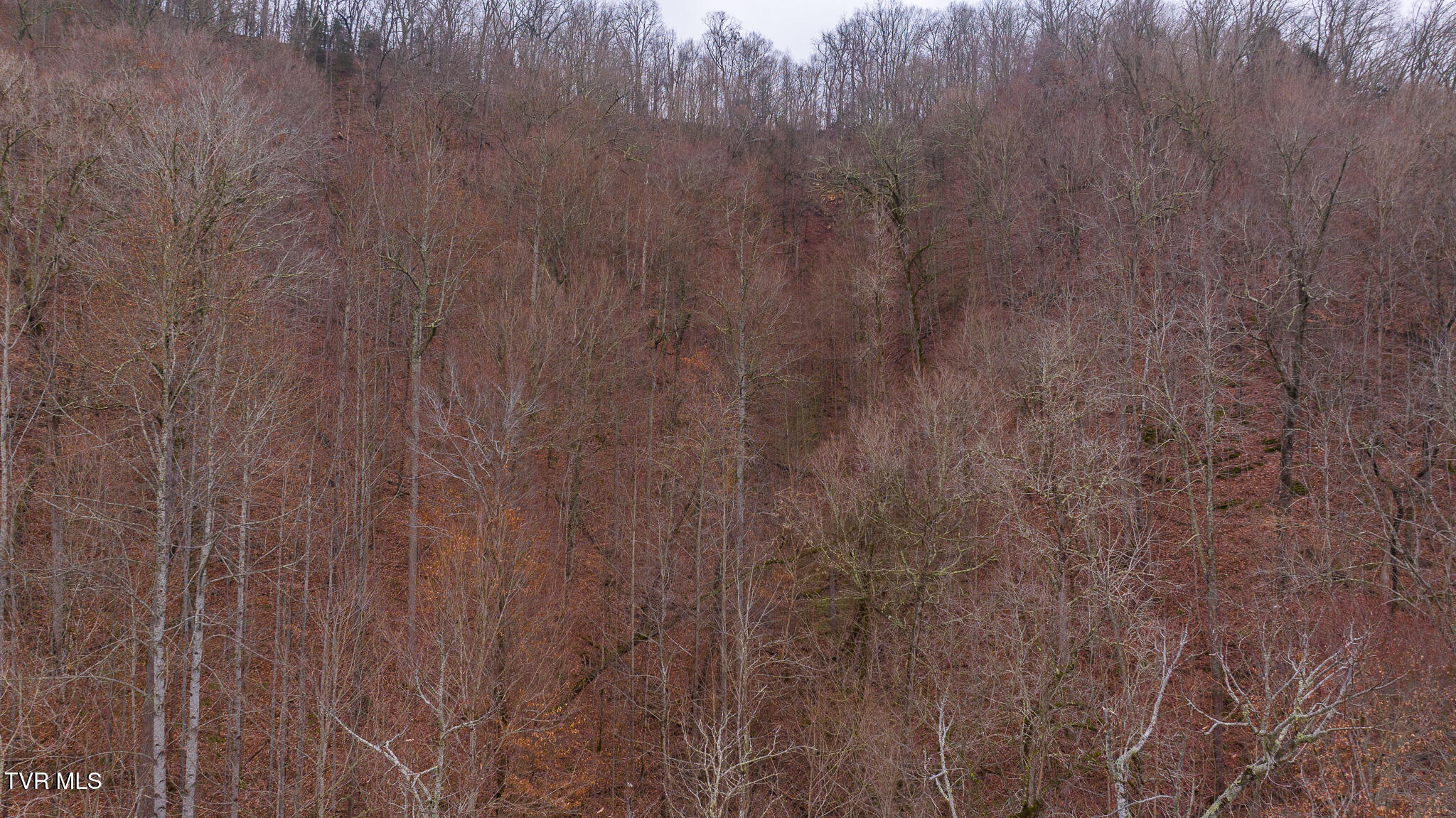0 Gap Creek Road Property Photo 14