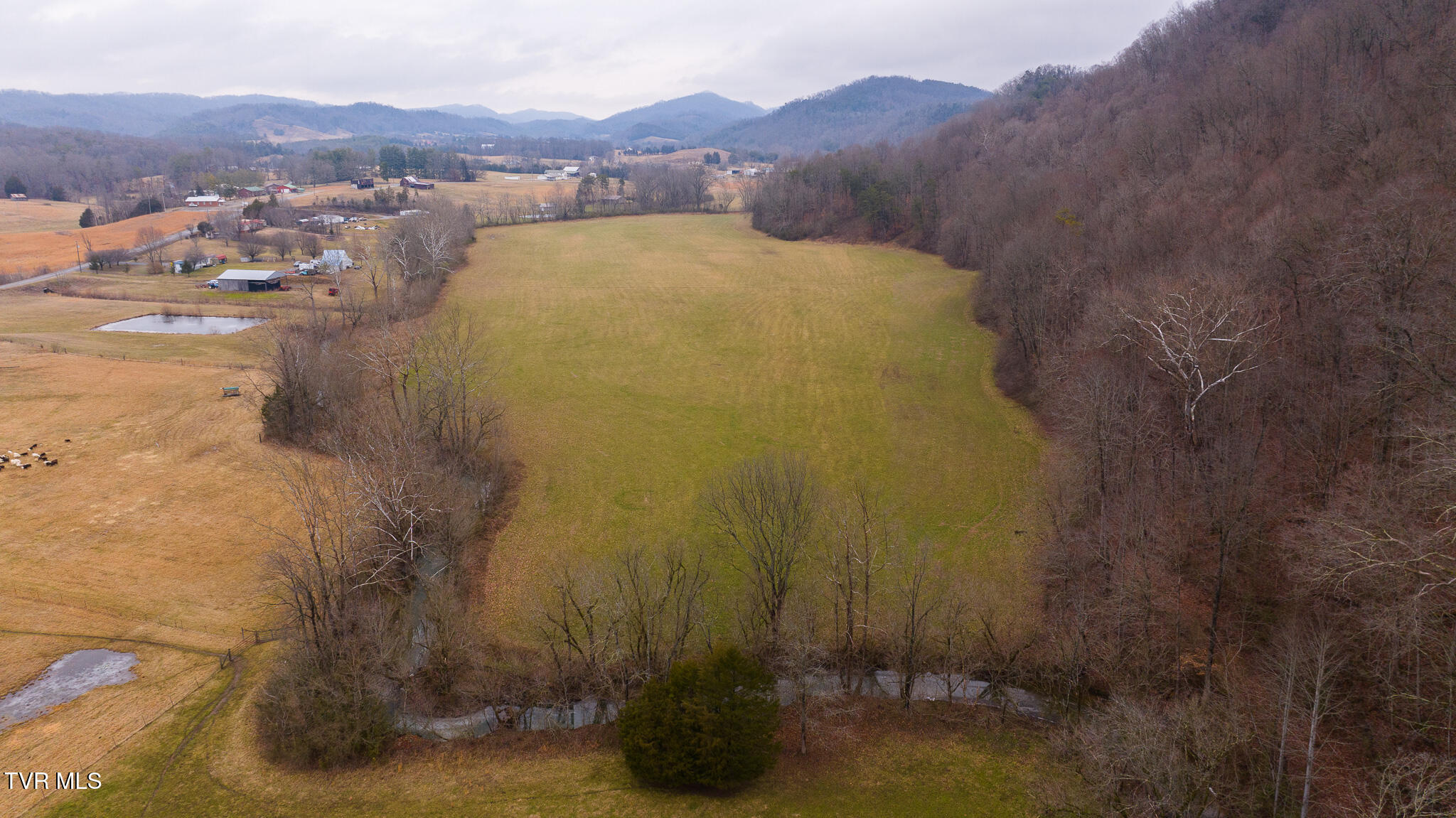 0 Gap Creek Road Property Photo 17
