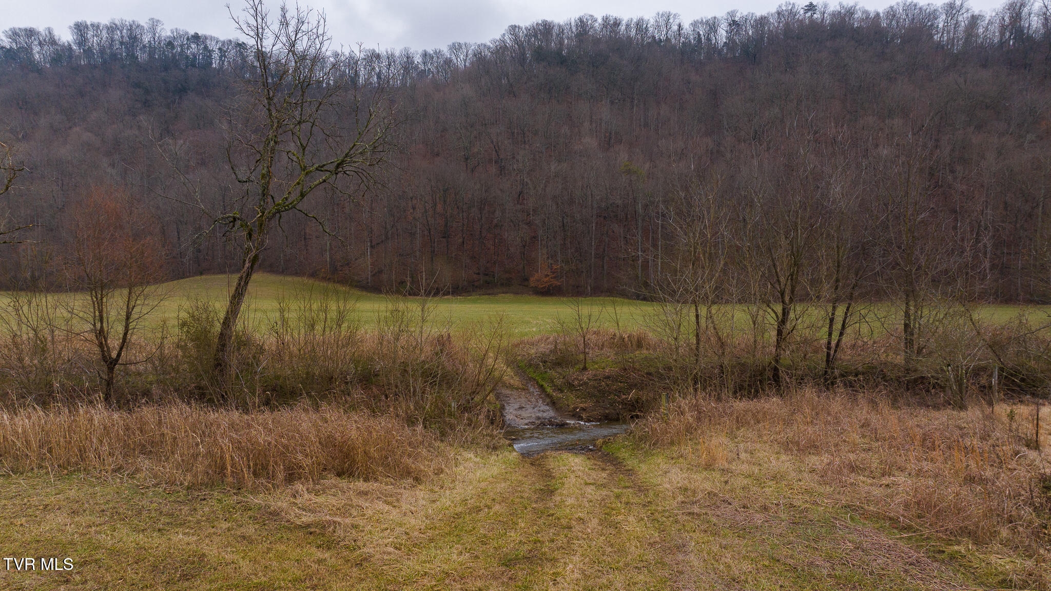 0 Gap Creek Road Property Photo 23