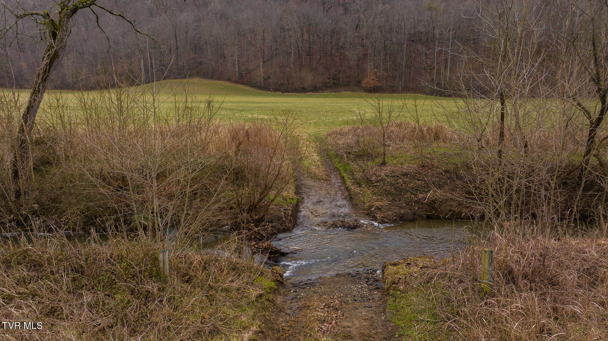 0 Gap Creek Road Property Photo 24