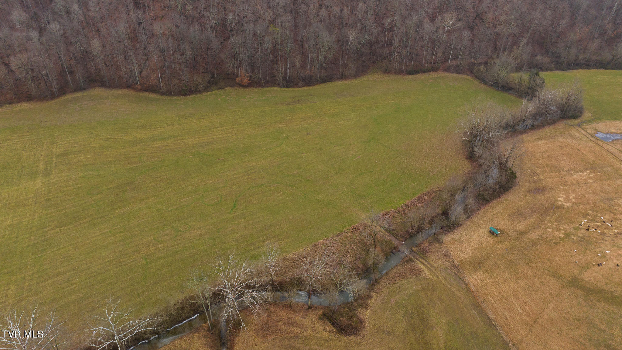 0 Gap Creek Road Property Photo 31