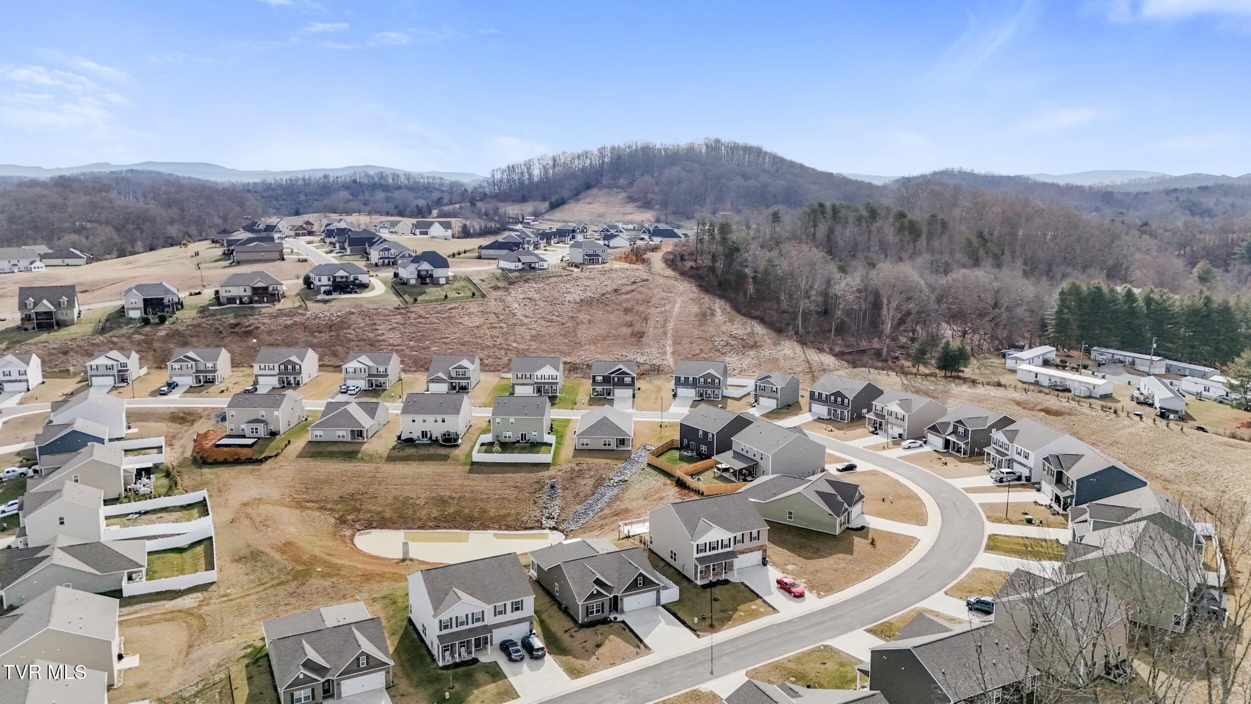 2479 Bridgeforth Crossing Property Photo 43