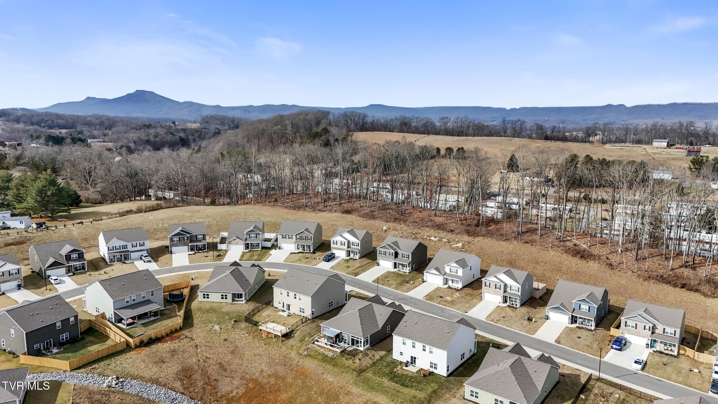 2479 Bridgeforth Crossing Property Photo 46