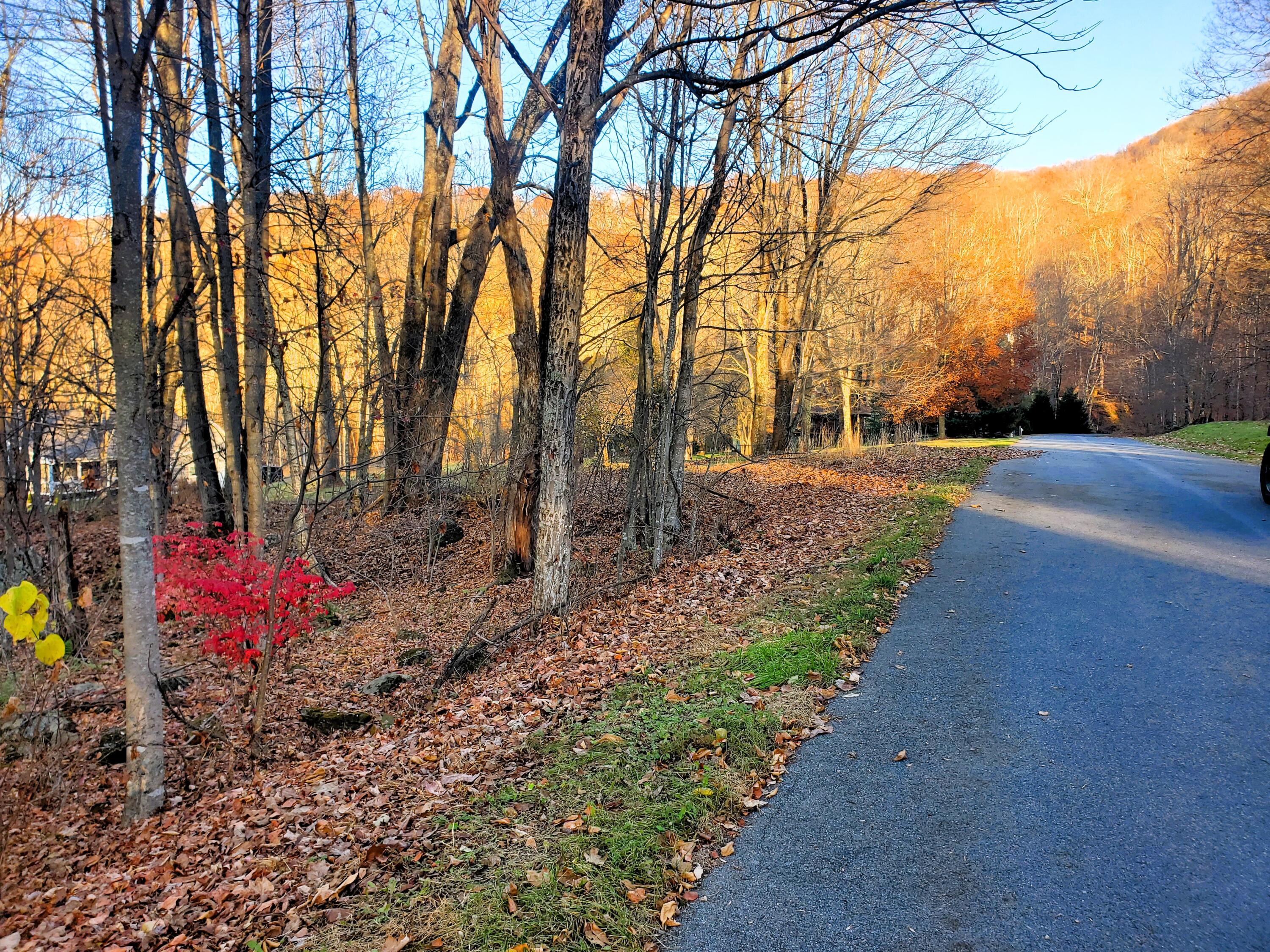 Toms Creek Sub Real Estate Listings Main Image