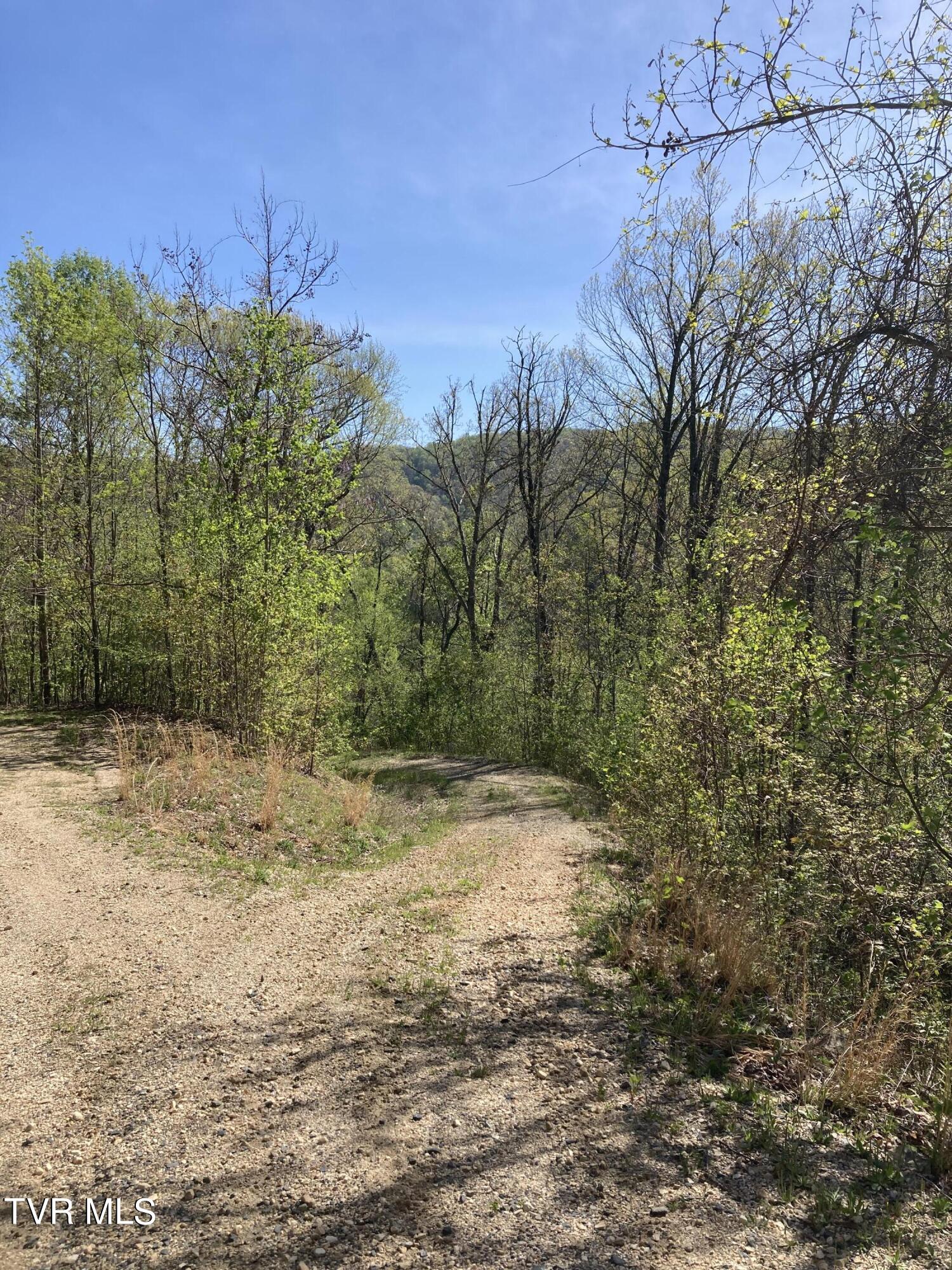 Tbd Tulip Poplar Trail Extension Property Photo