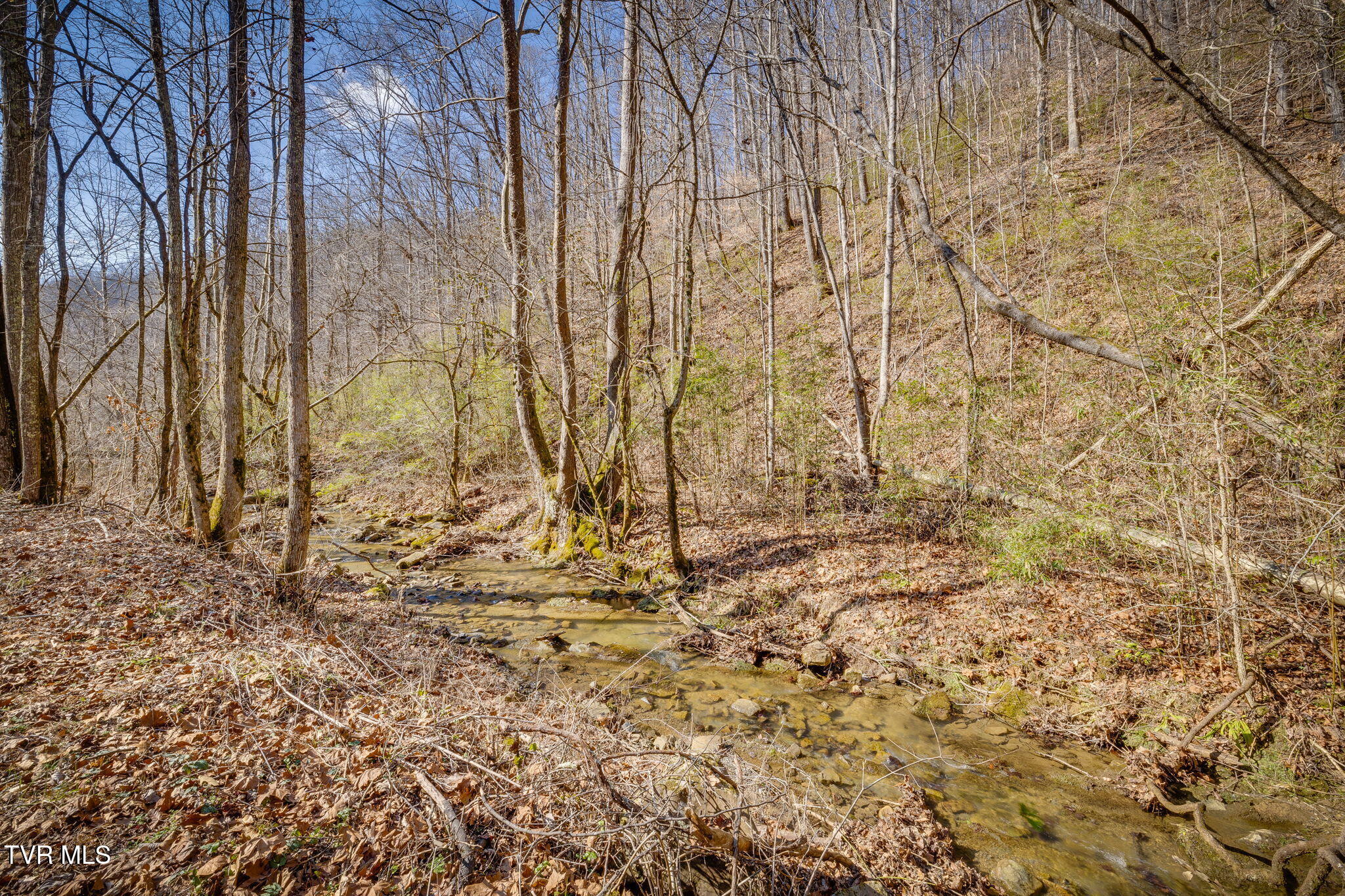 1795 Bear Hollow Road Property Photo 6