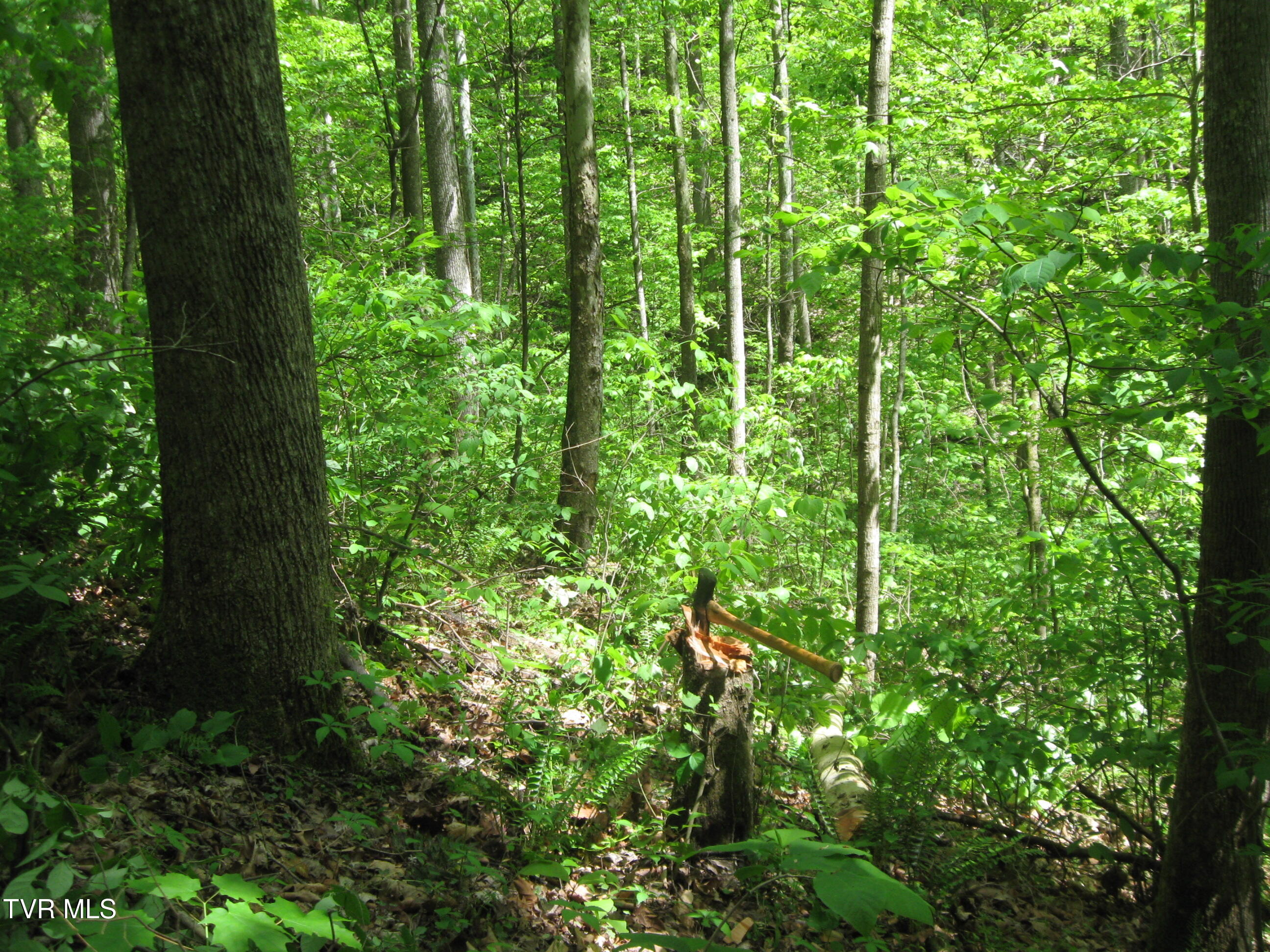 1795 Bear Hollow Road Property Photo 37