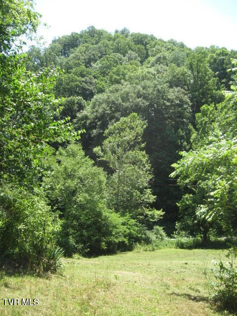 1795 Bear Hollow Road Property Photo 40