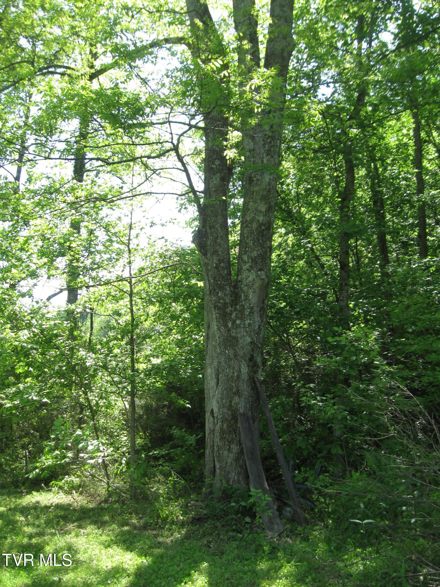 1795 Bear Hollow Road Property Photo 41
