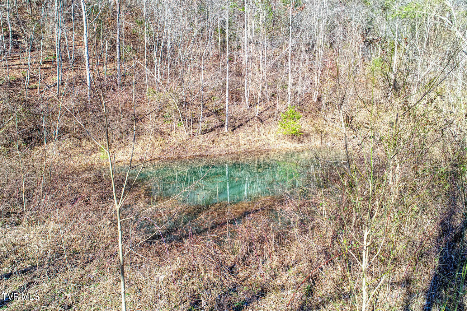 582 Jimmie Brooks Road Property Photo