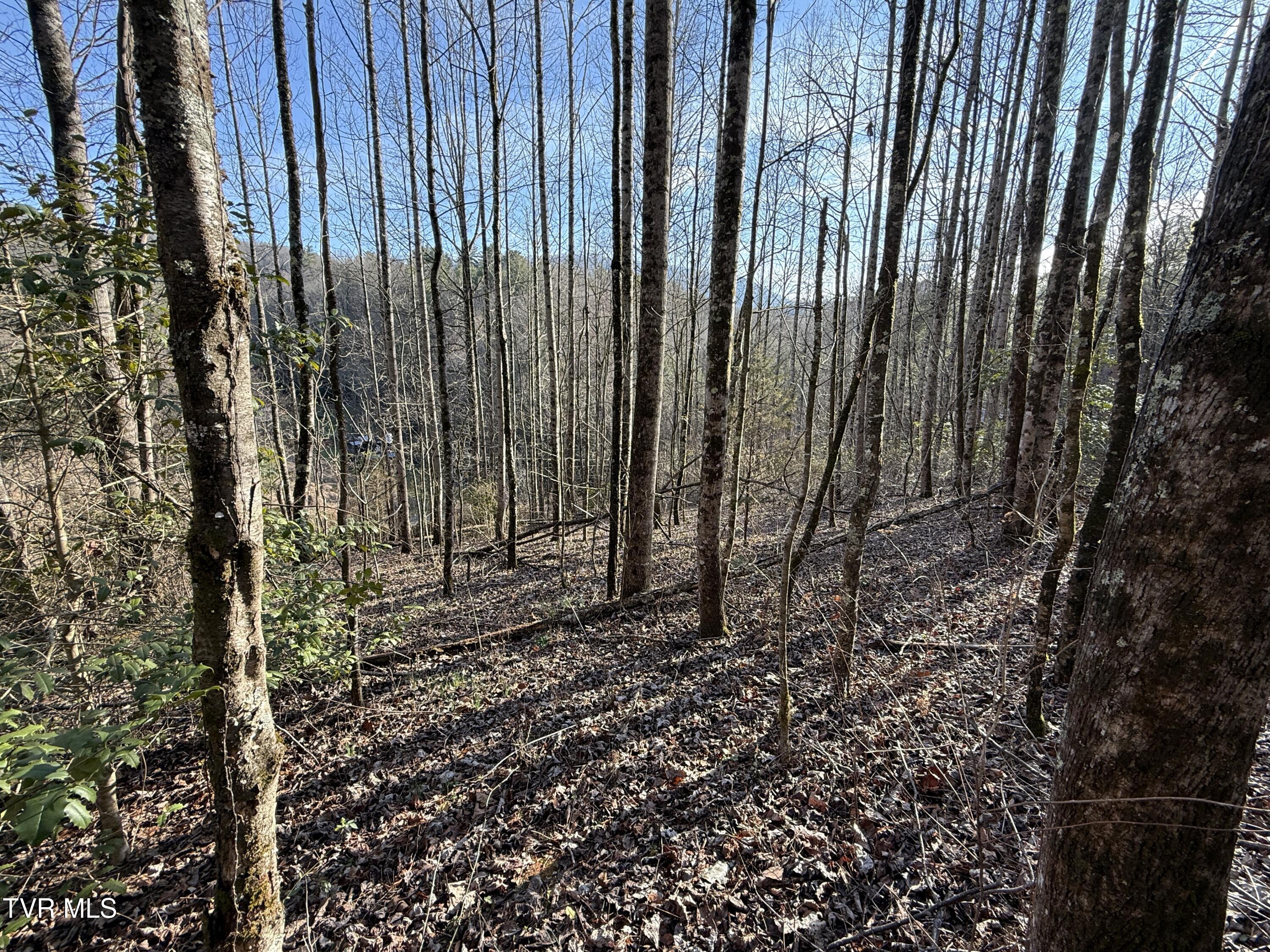 3.18 Acres Blue Mill Road Property Photo