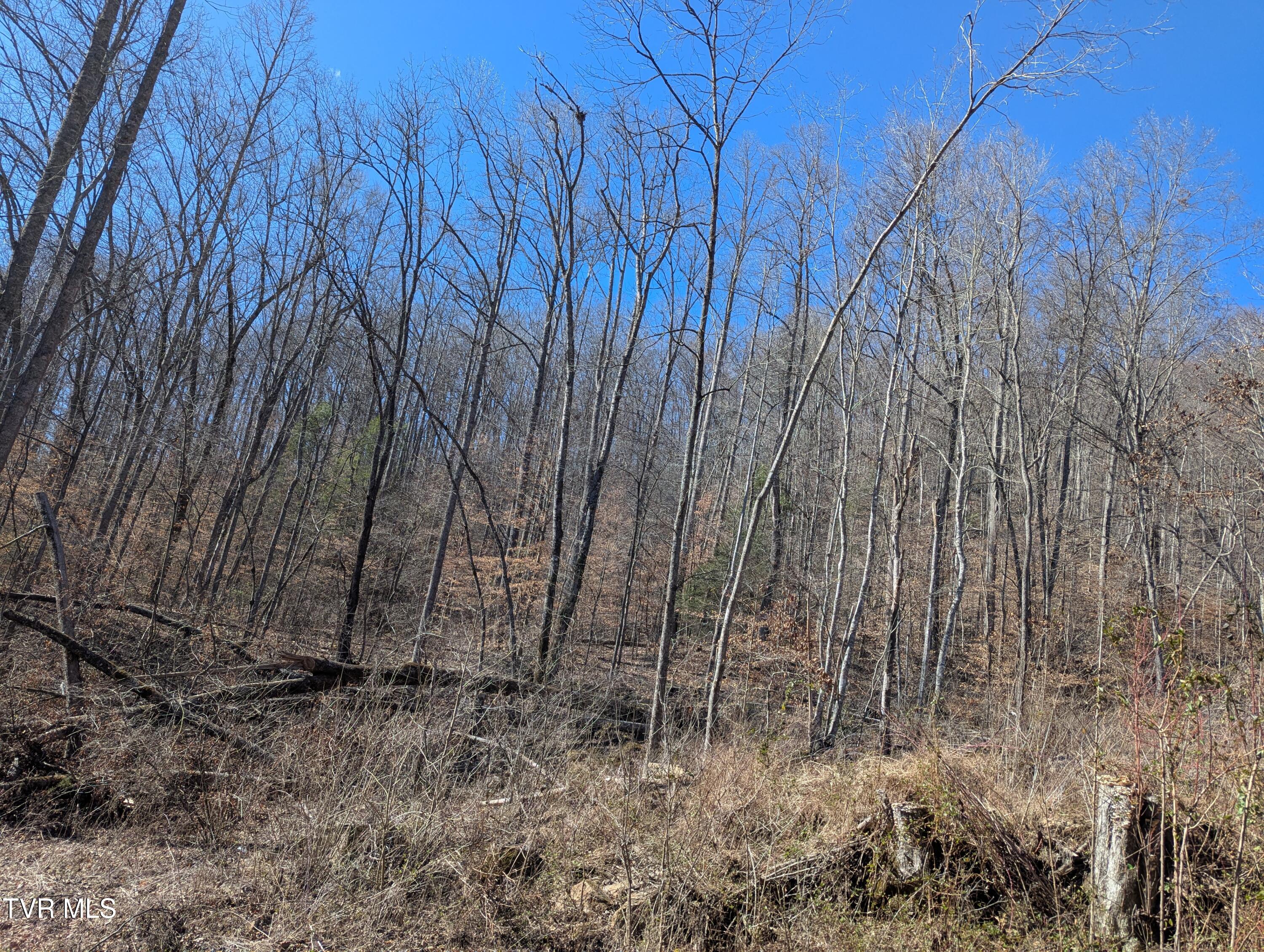 Tbd Mabe Stanleytown Road Property Photo