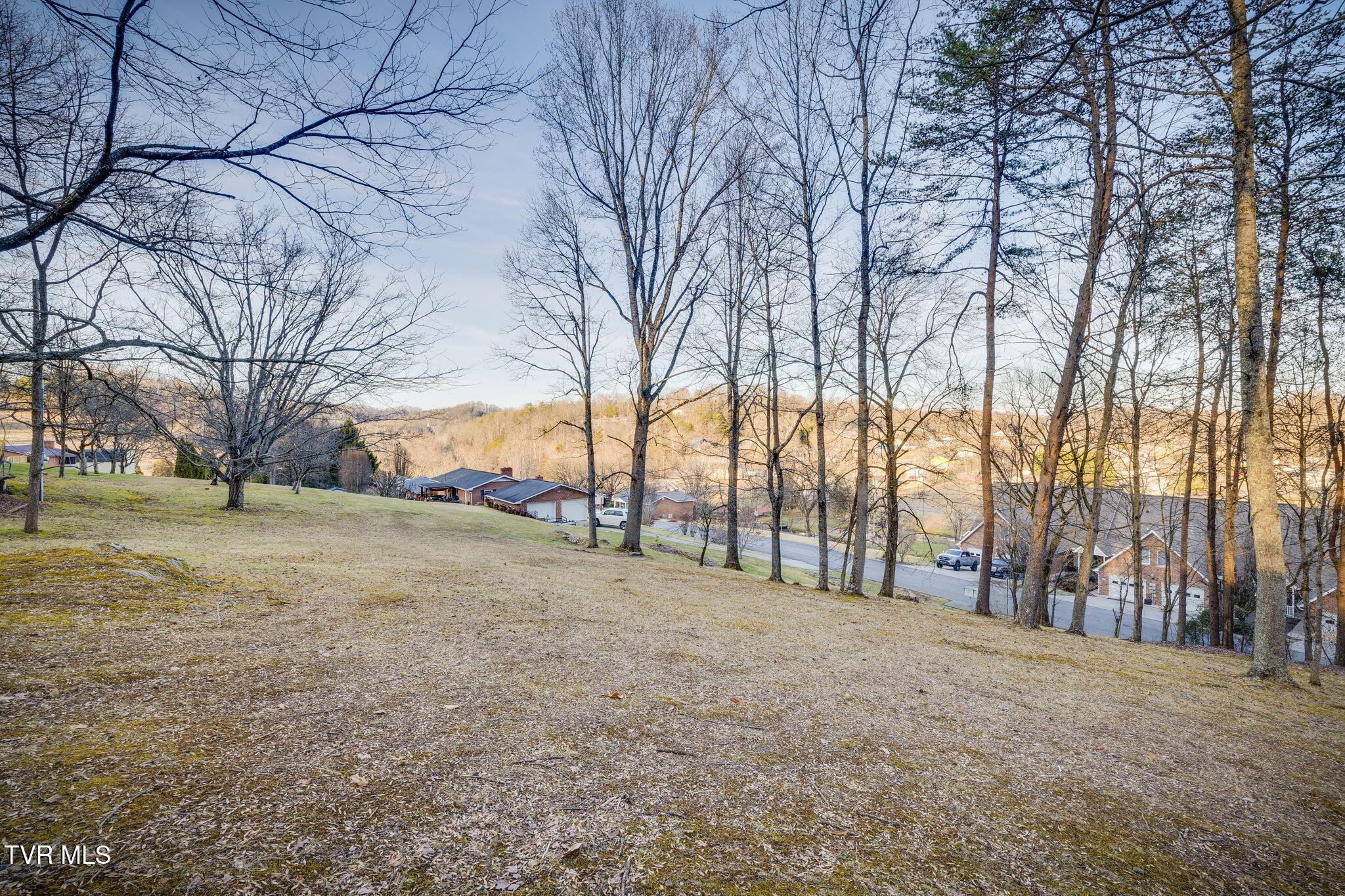 Tbd Alexander Avenue Property Photo