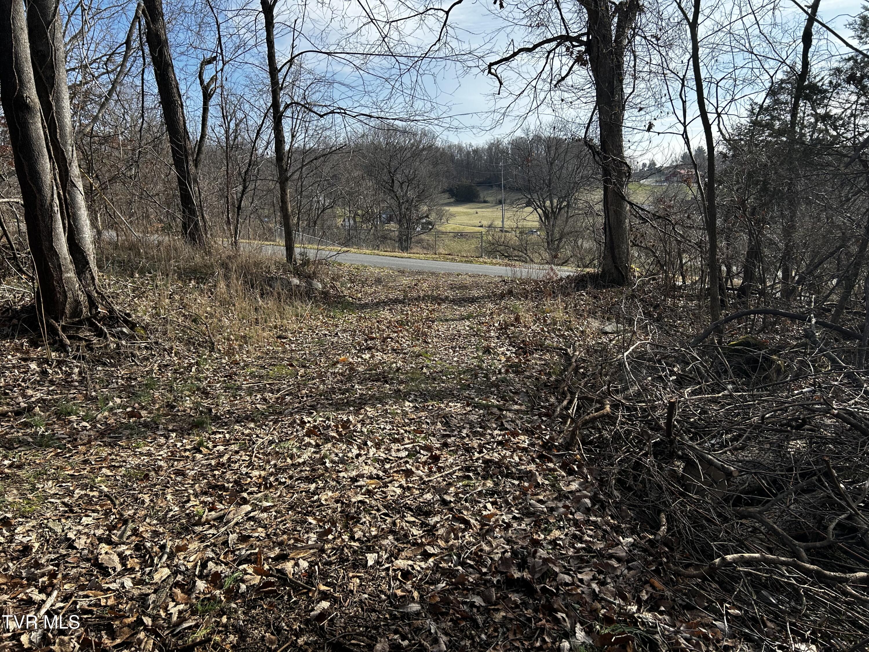 198 Maple Tree Lane Property Photo 1