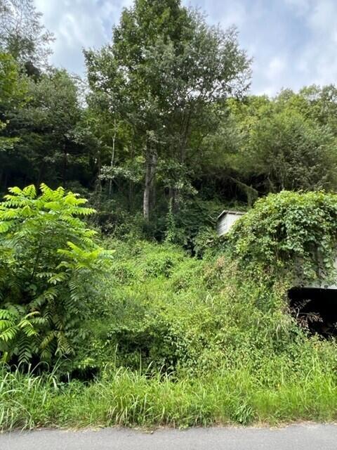 1080 Fairview Road Property Photo
