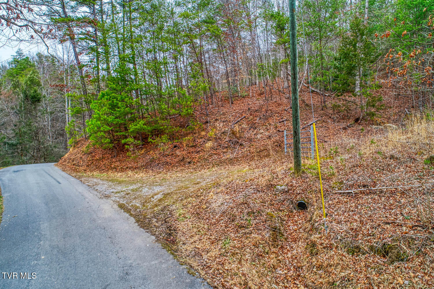 Jones Cove Real Estate Listings Main Image
