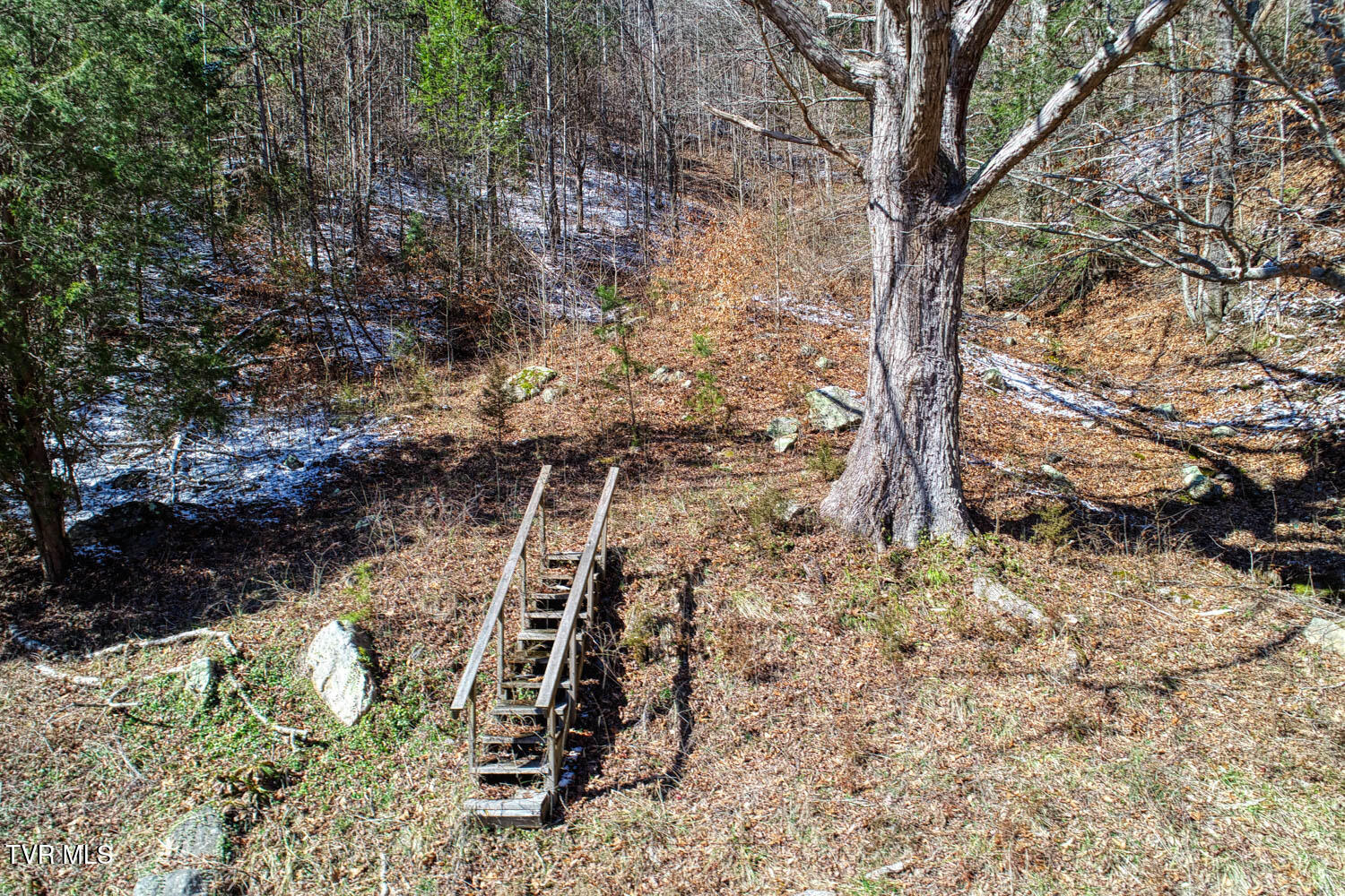 Tbd Grassy Creek Road Property Photo