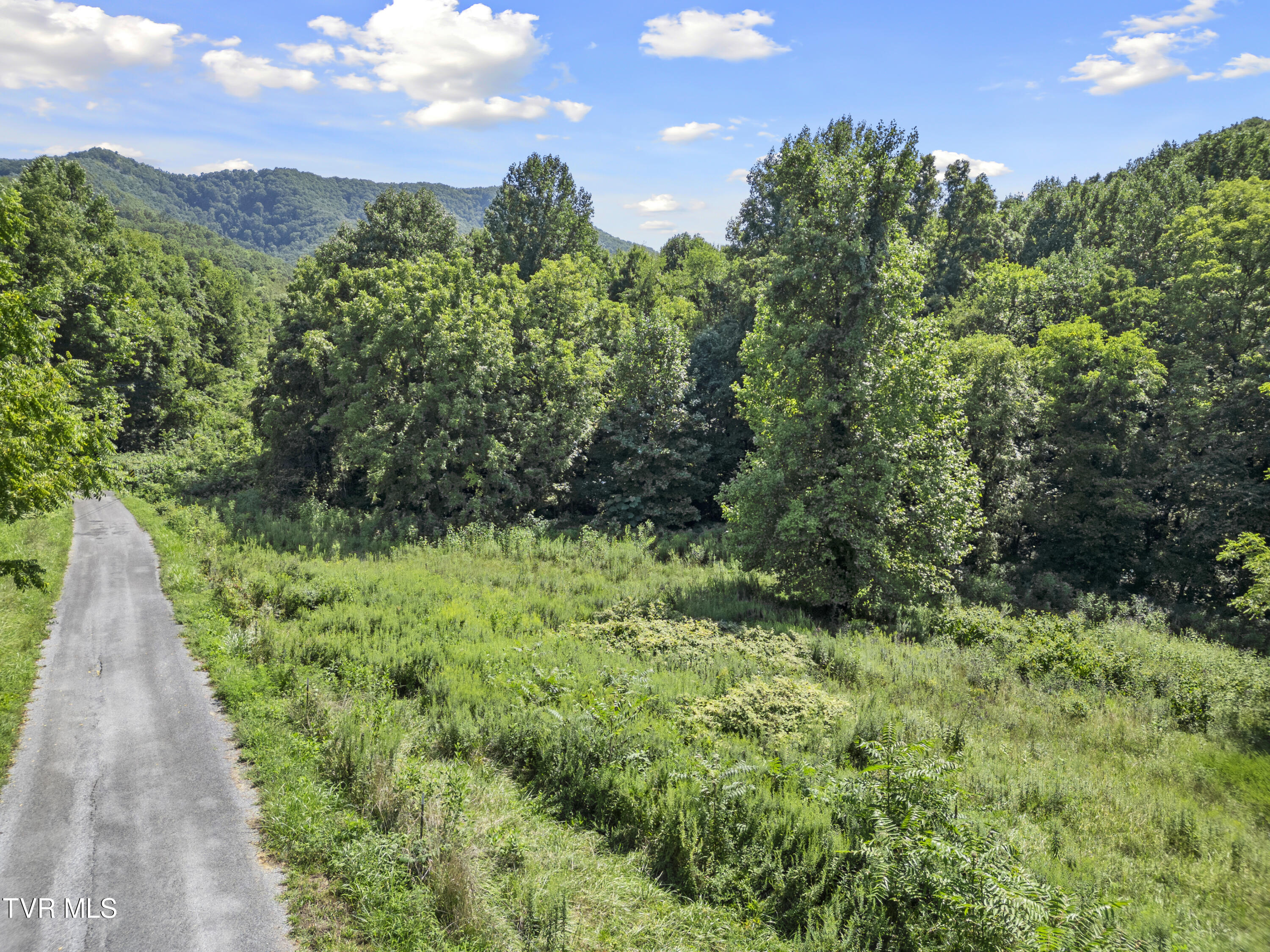 1.9 Acres Cecil Davis Road Property Photo