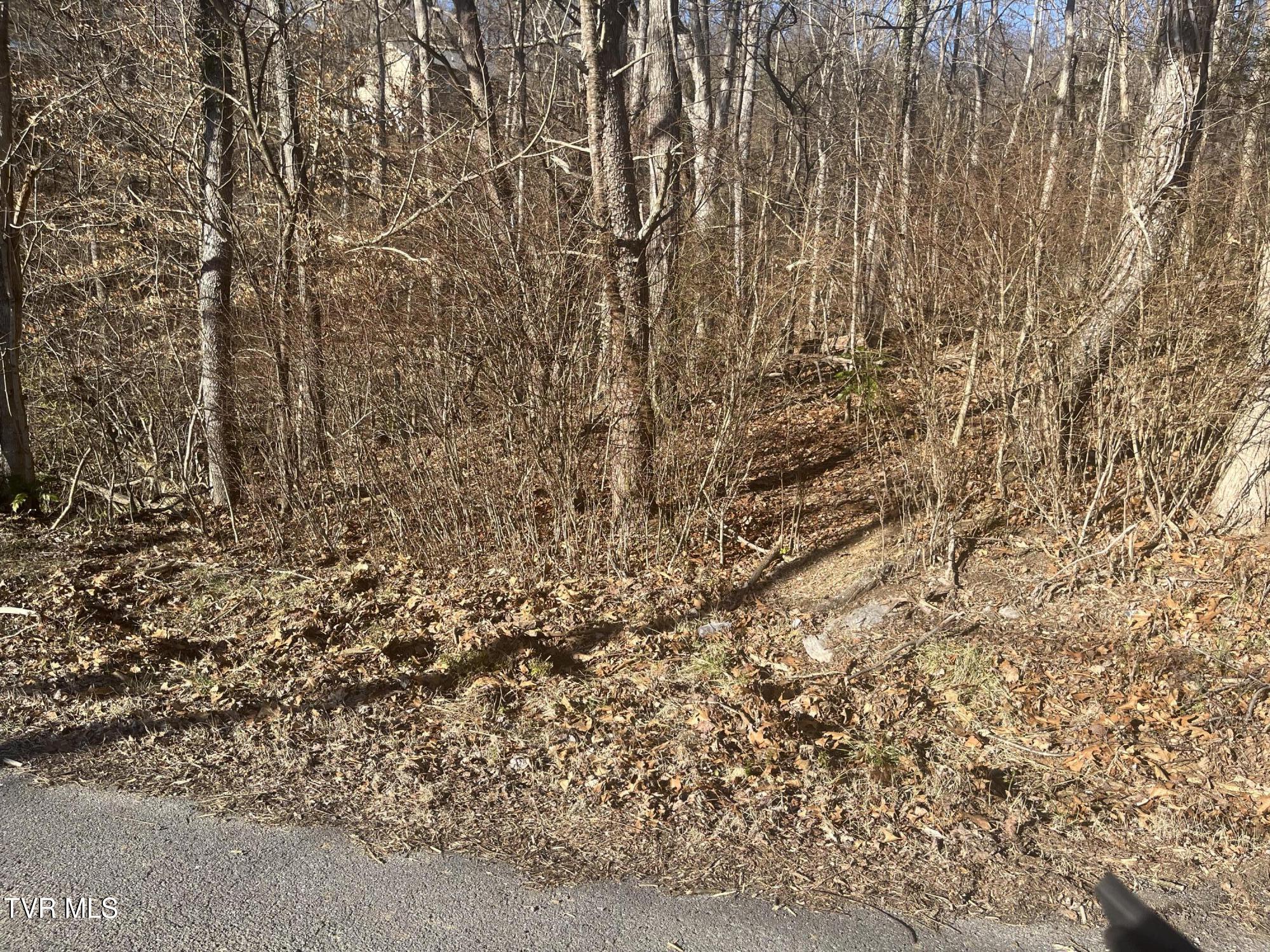 Lot 20 Kallen Drive Property Photo