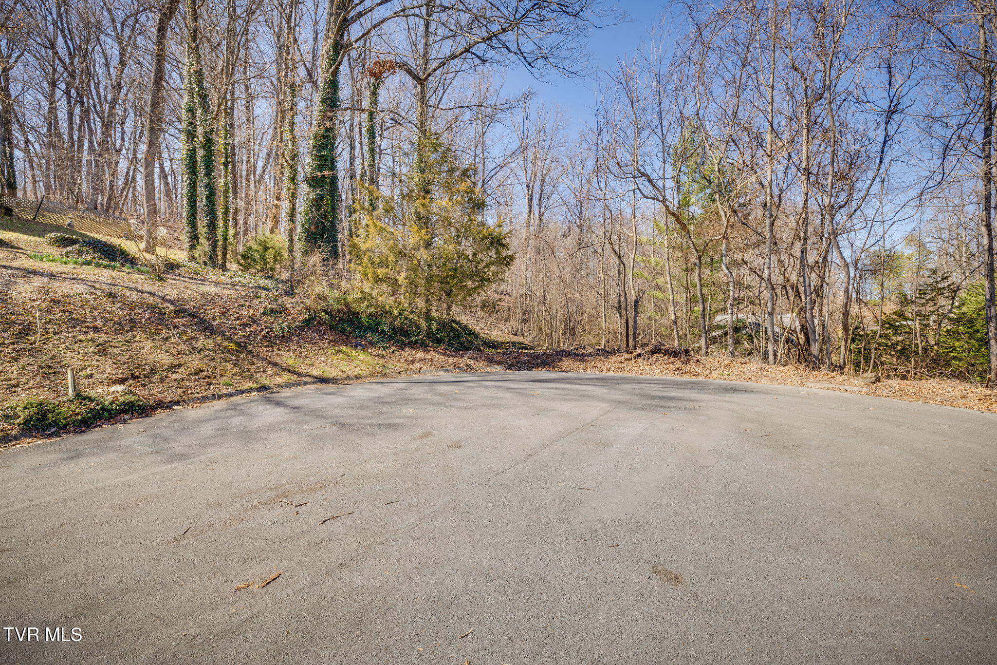 Tbd Knobb Hill Road Property Photo 1
