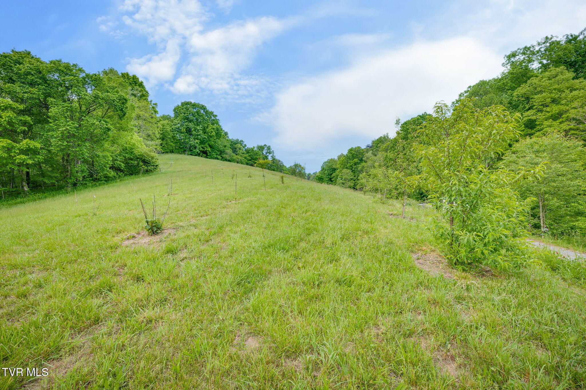 838 Longs Bend Road Property Photo 32