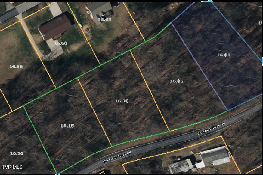 Tbd Chestnut Ridge Road Property Photo 2