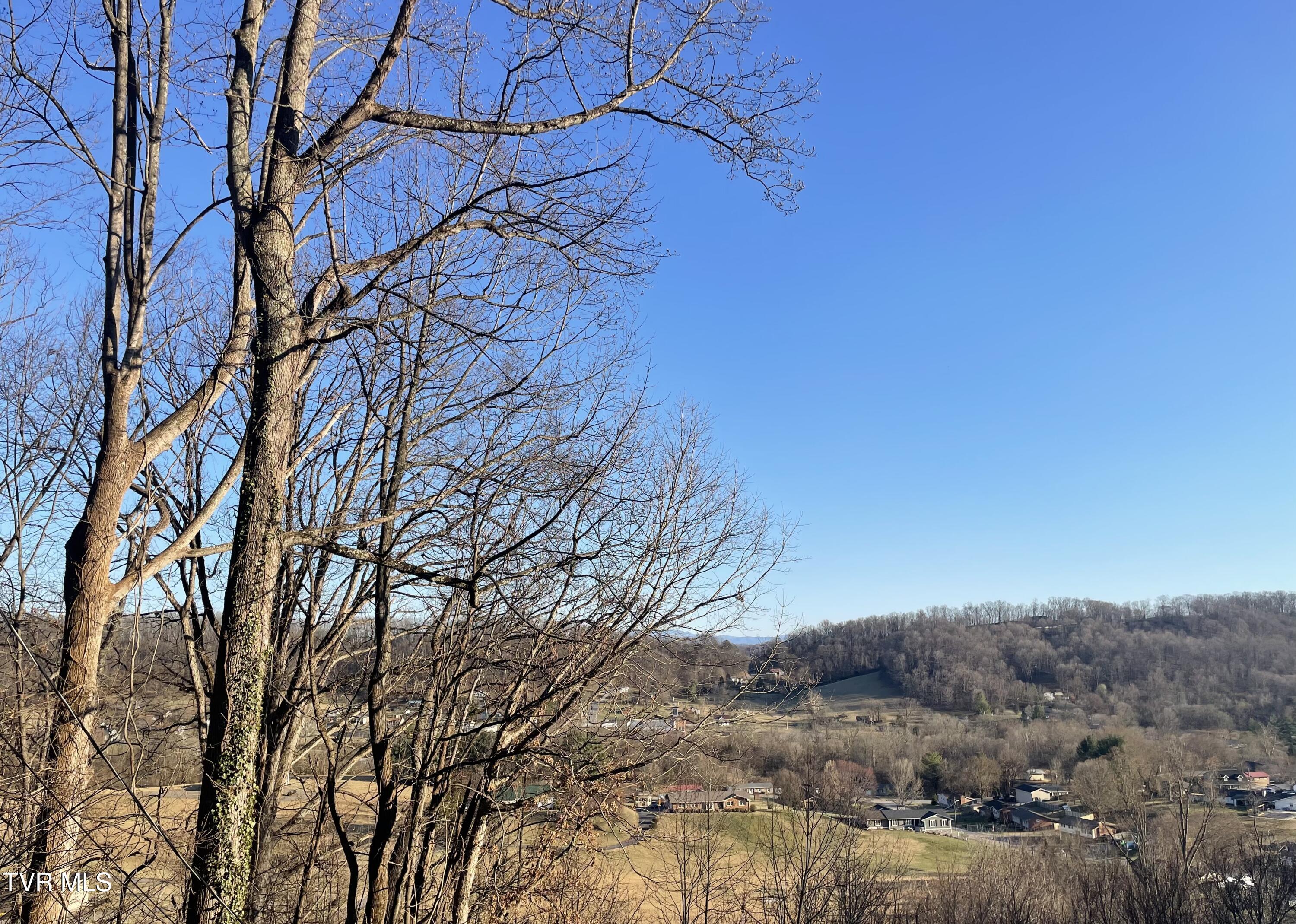 Tbd Chestnut Ridge Road Property Photo 3