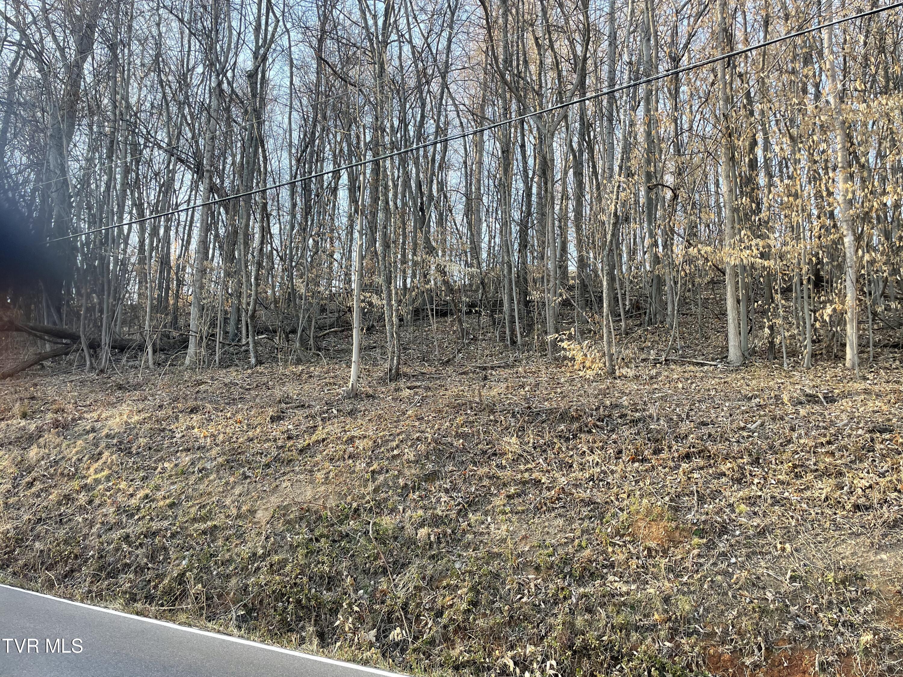 Tbd Chestnut Ridge Road Property Photo 4