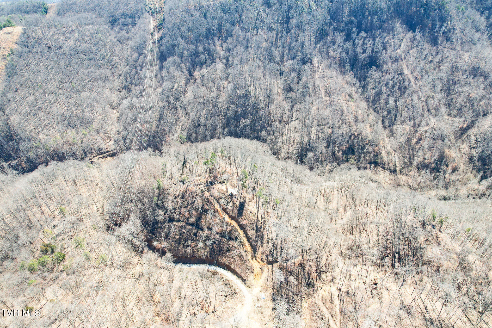 2929 Bear Hollow Road Property Photo 11