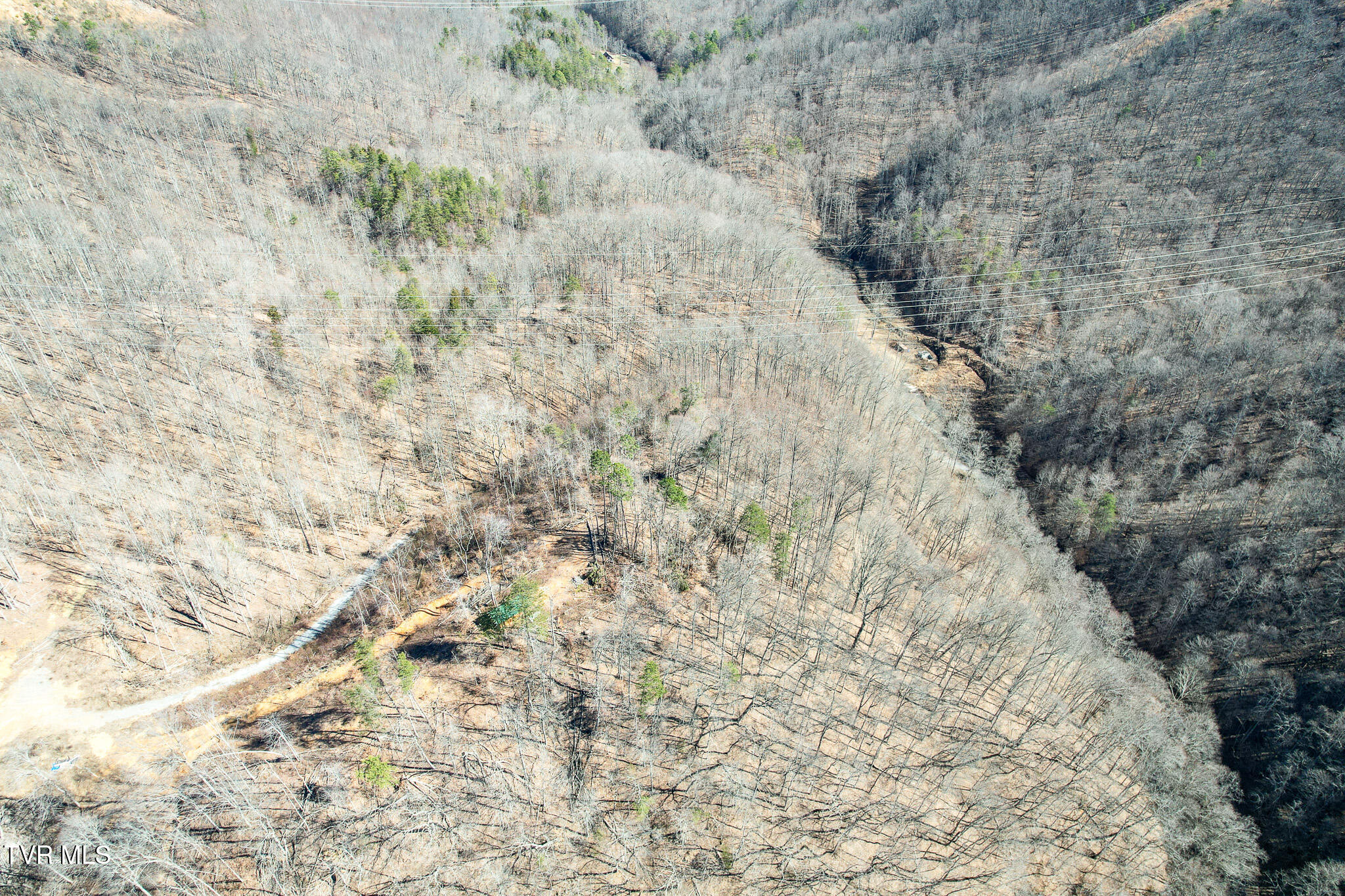2929 Bear Hollow Road Property Photo 15