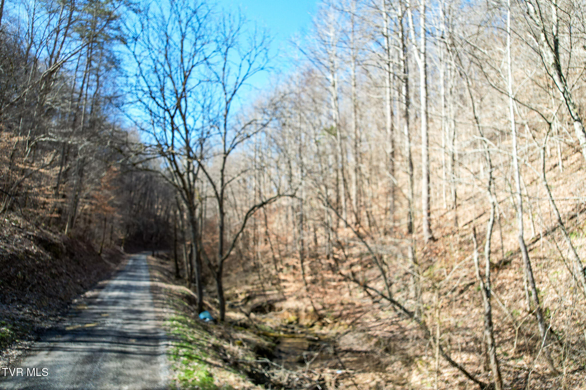 2929 Bear Hollow Road Property Photo 23