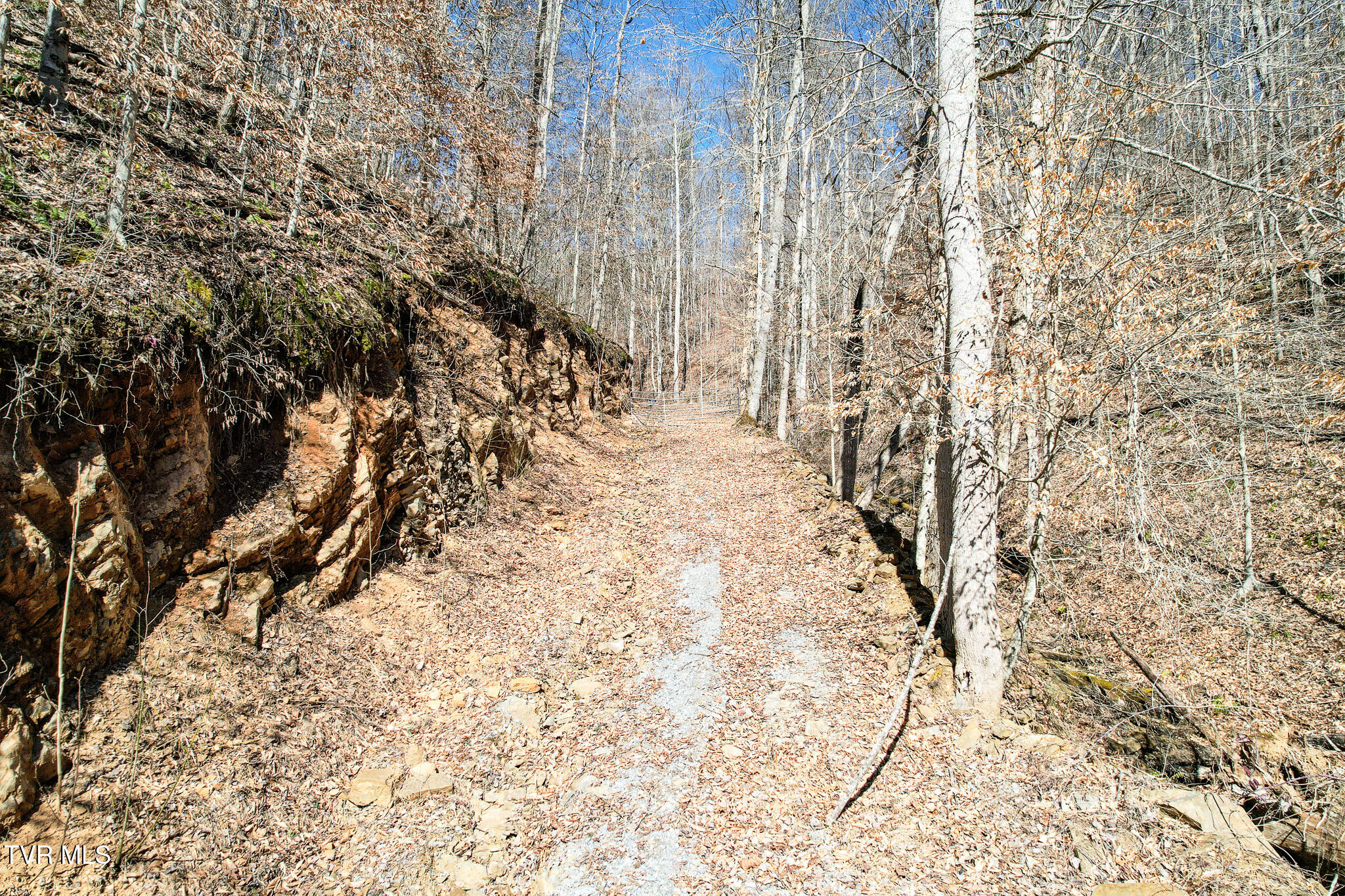 2929 Bear Hollow Road Property Photo 25