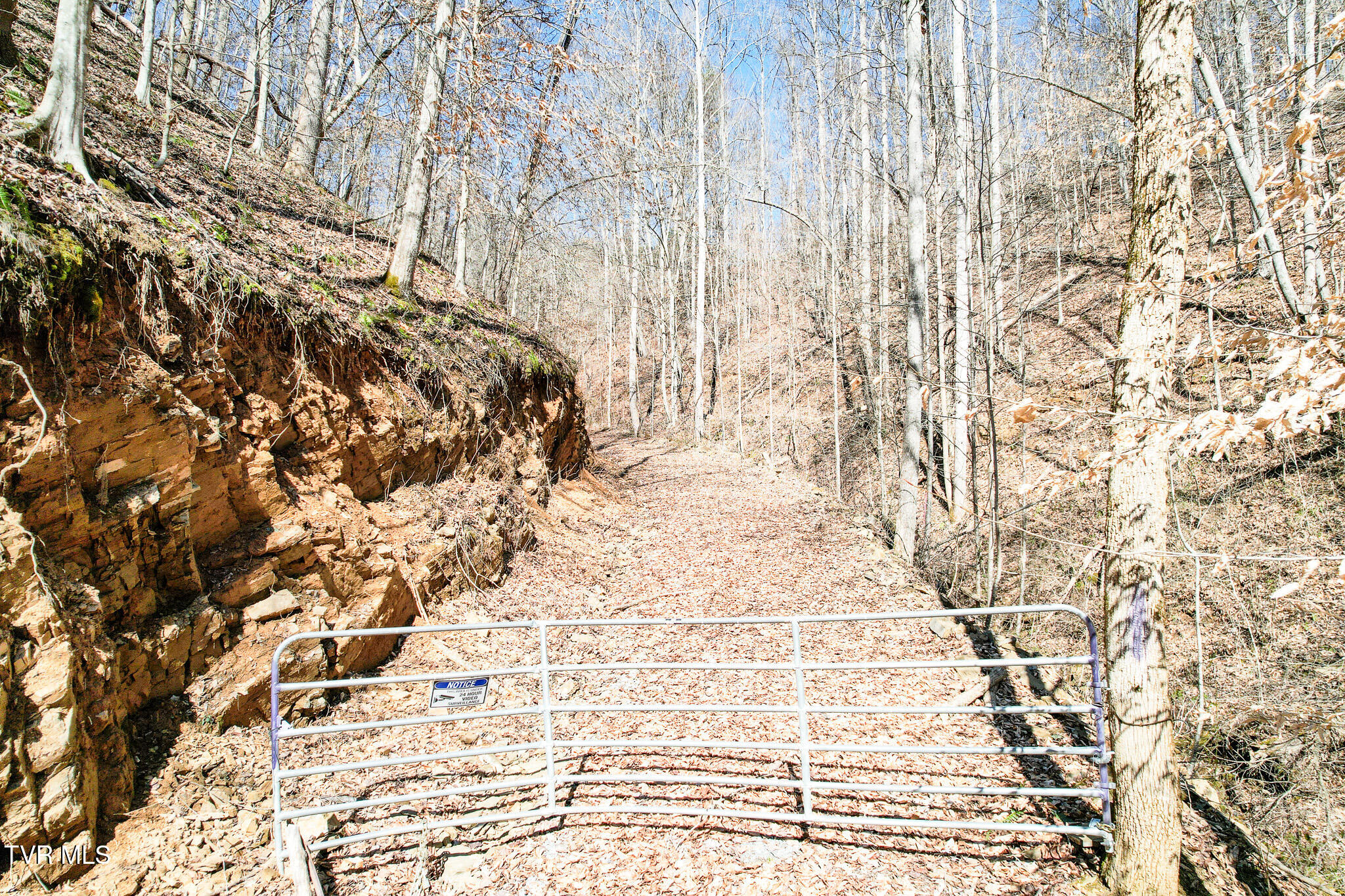 2929 Bear Hollow Road Property Photo 26