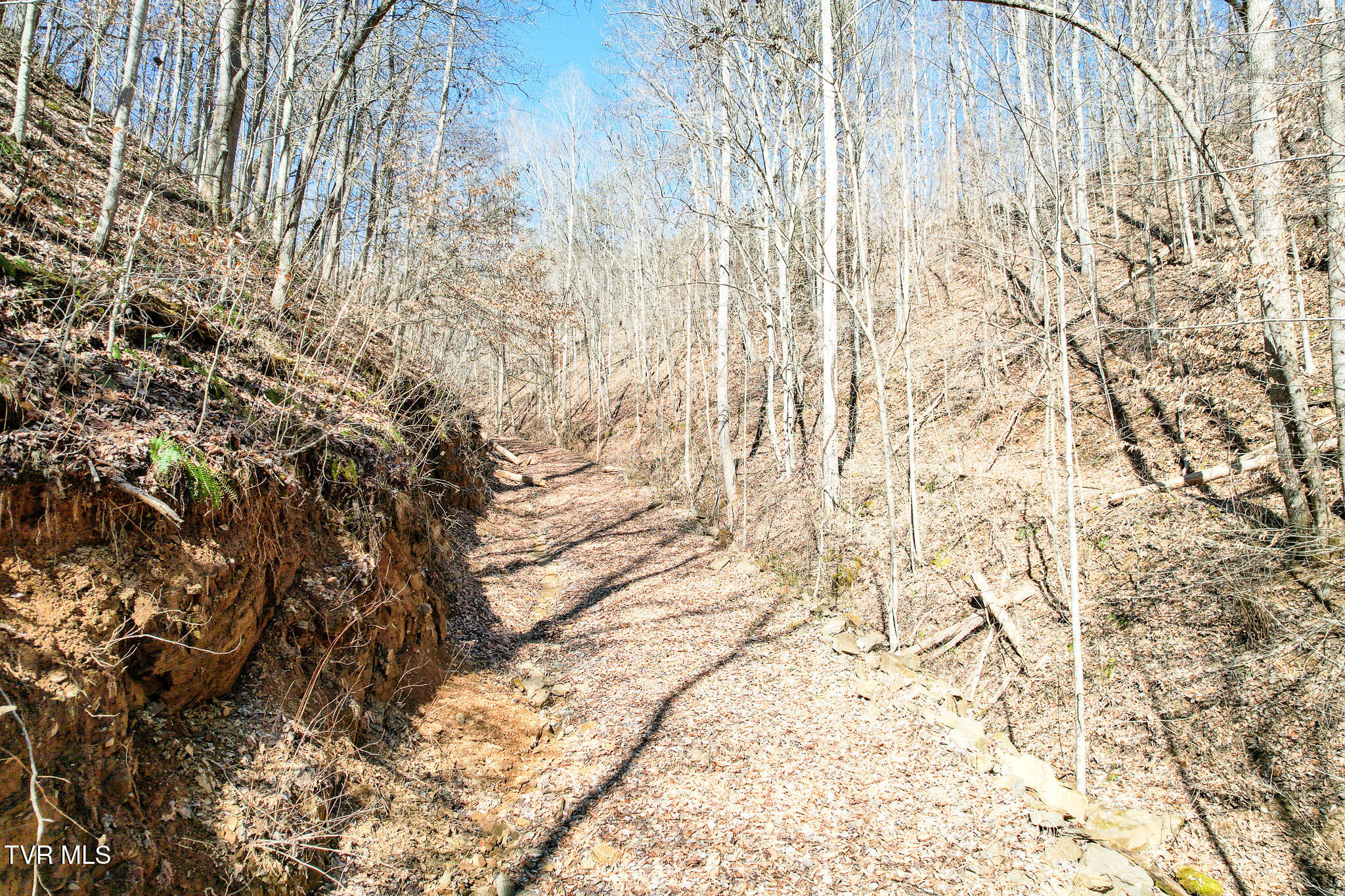 2929 Bear Hollow Road Property Photo 27