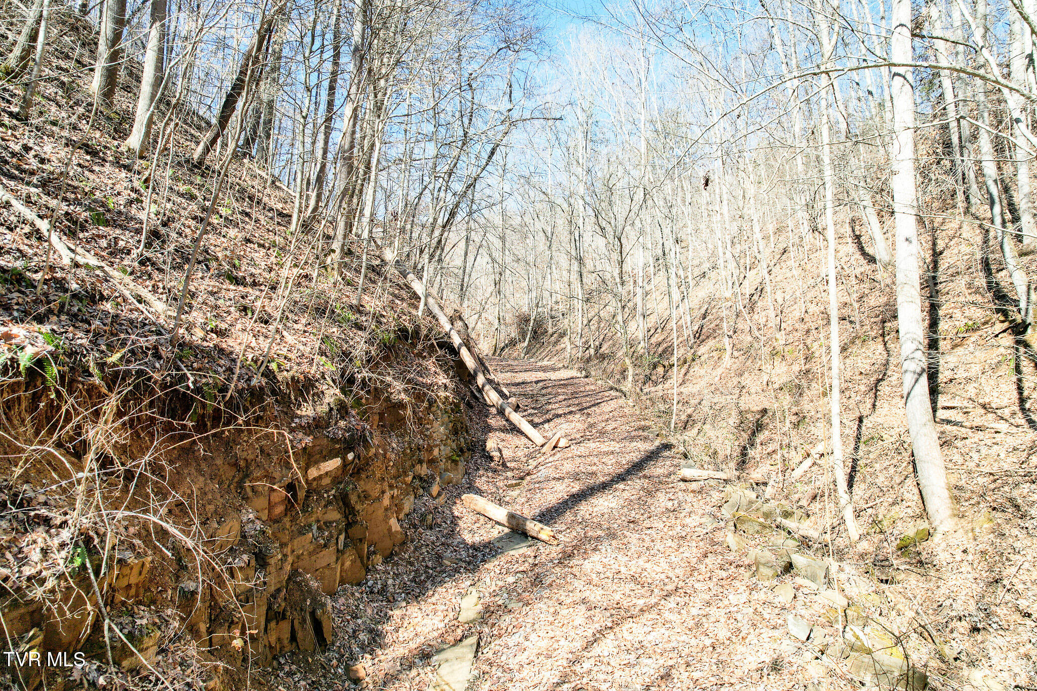 2929 Bear Hollow Road Property Photo 28