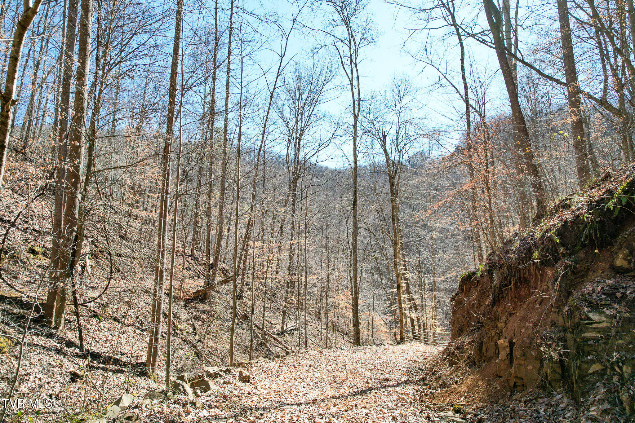 2929 Bear Hollow Road Property Photo 29