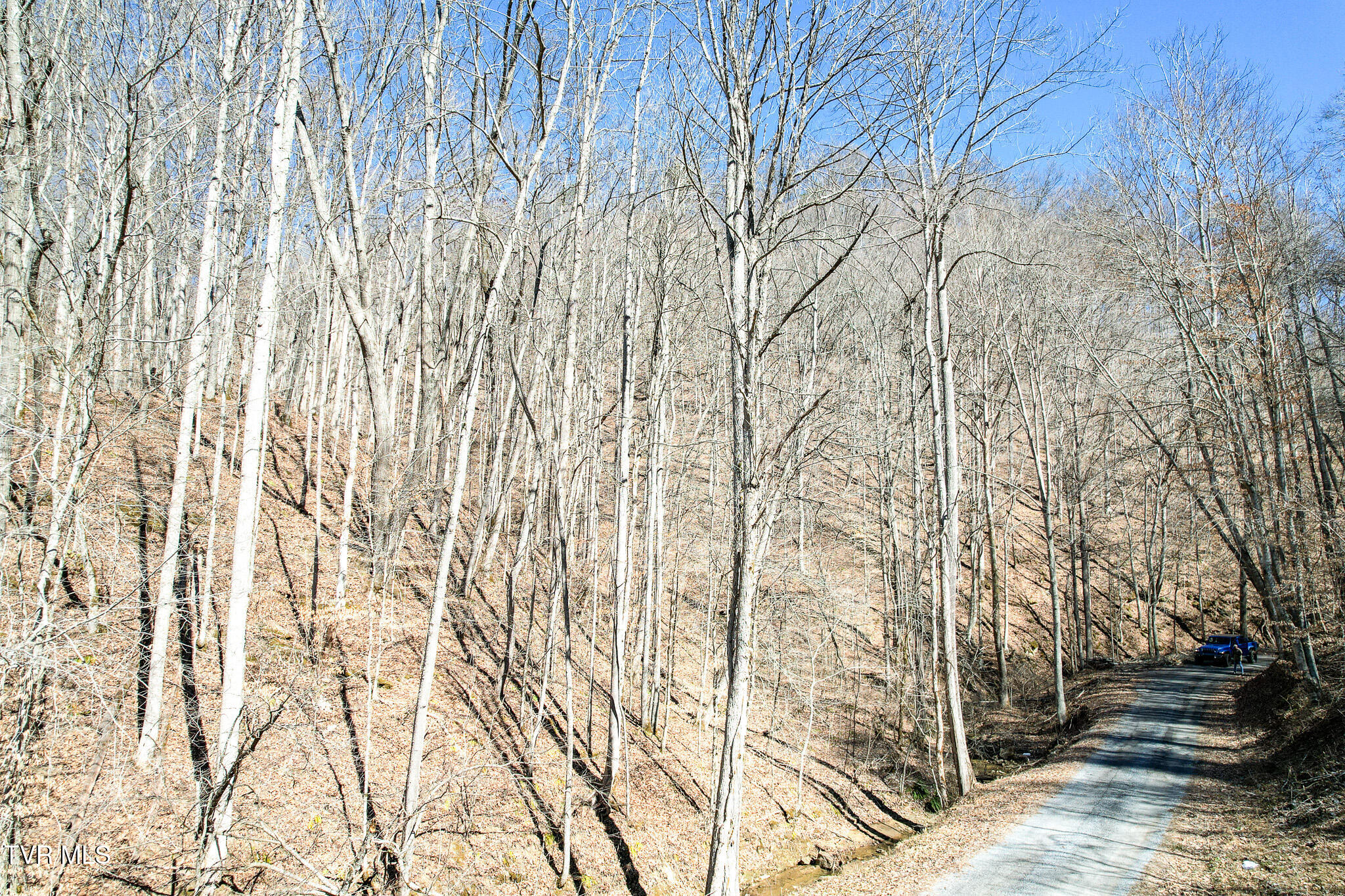 2929 Bear Hollow Road Property Photo 36