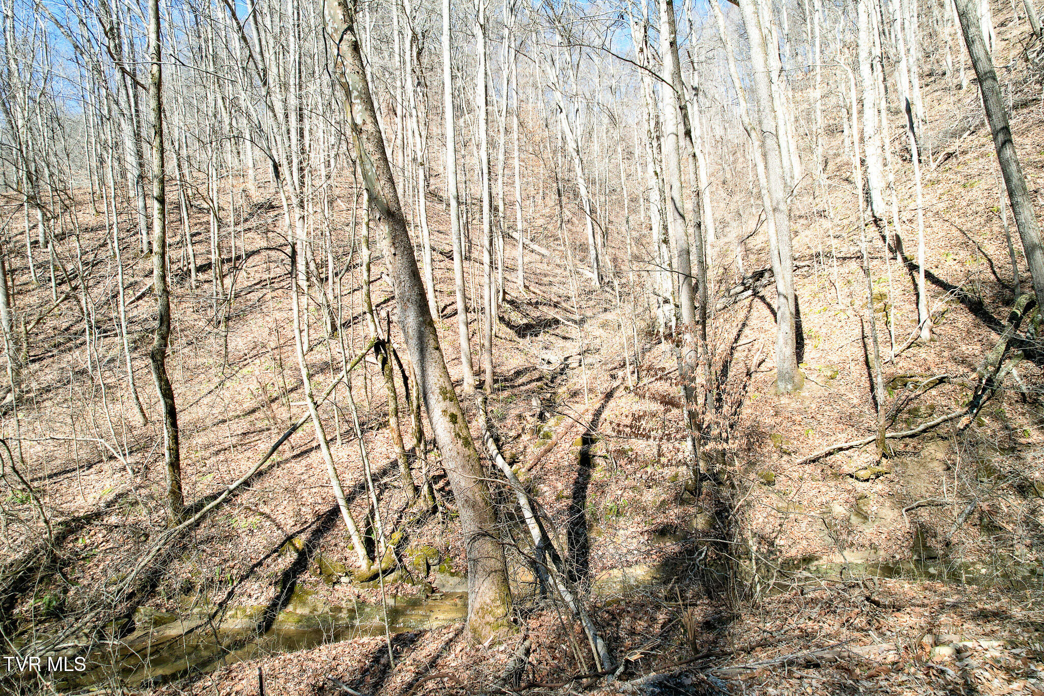 2929 Bear Hollow Road Property Photo 37