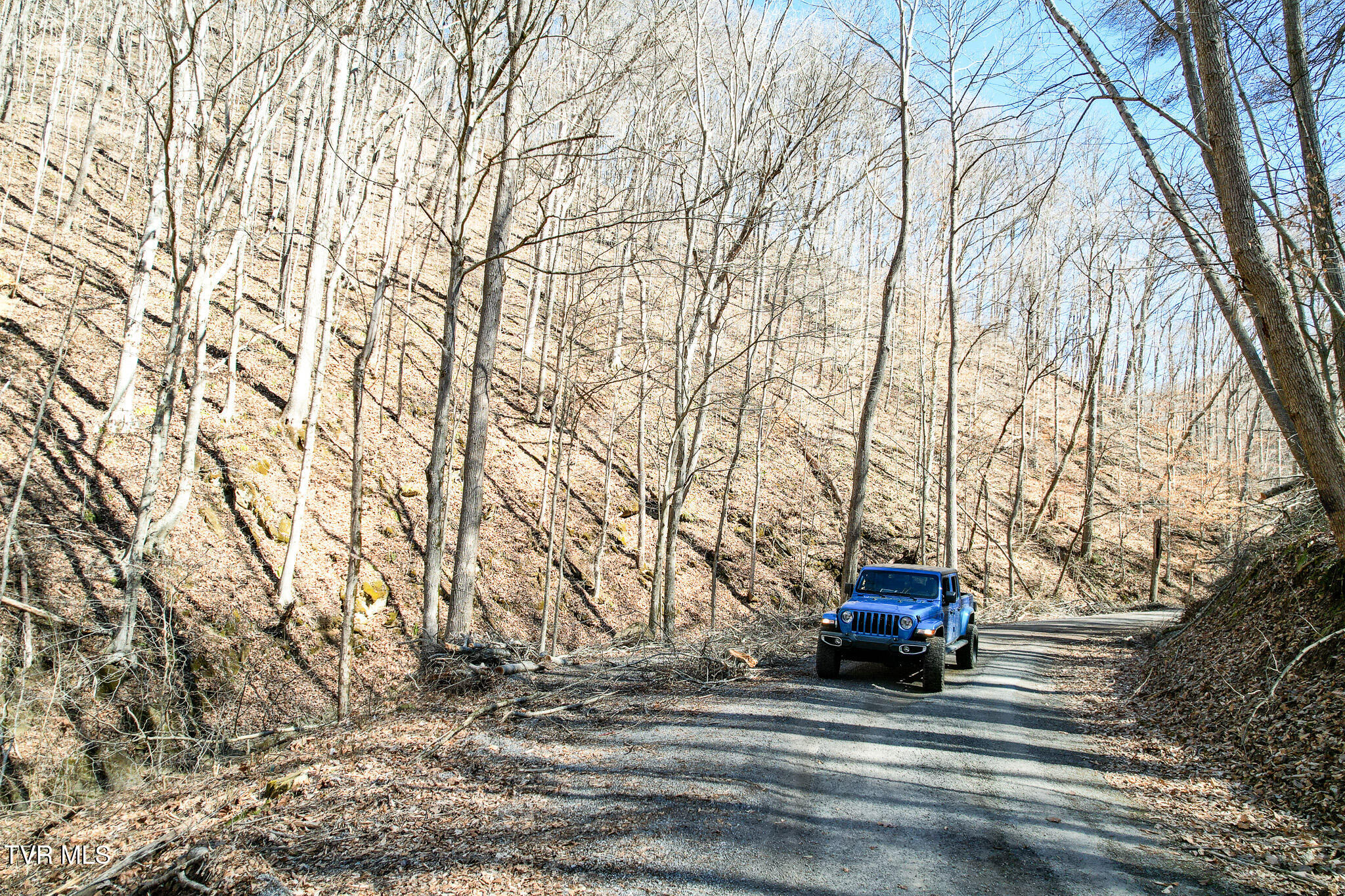 2929 Bear Hollow Road Property Photo 38