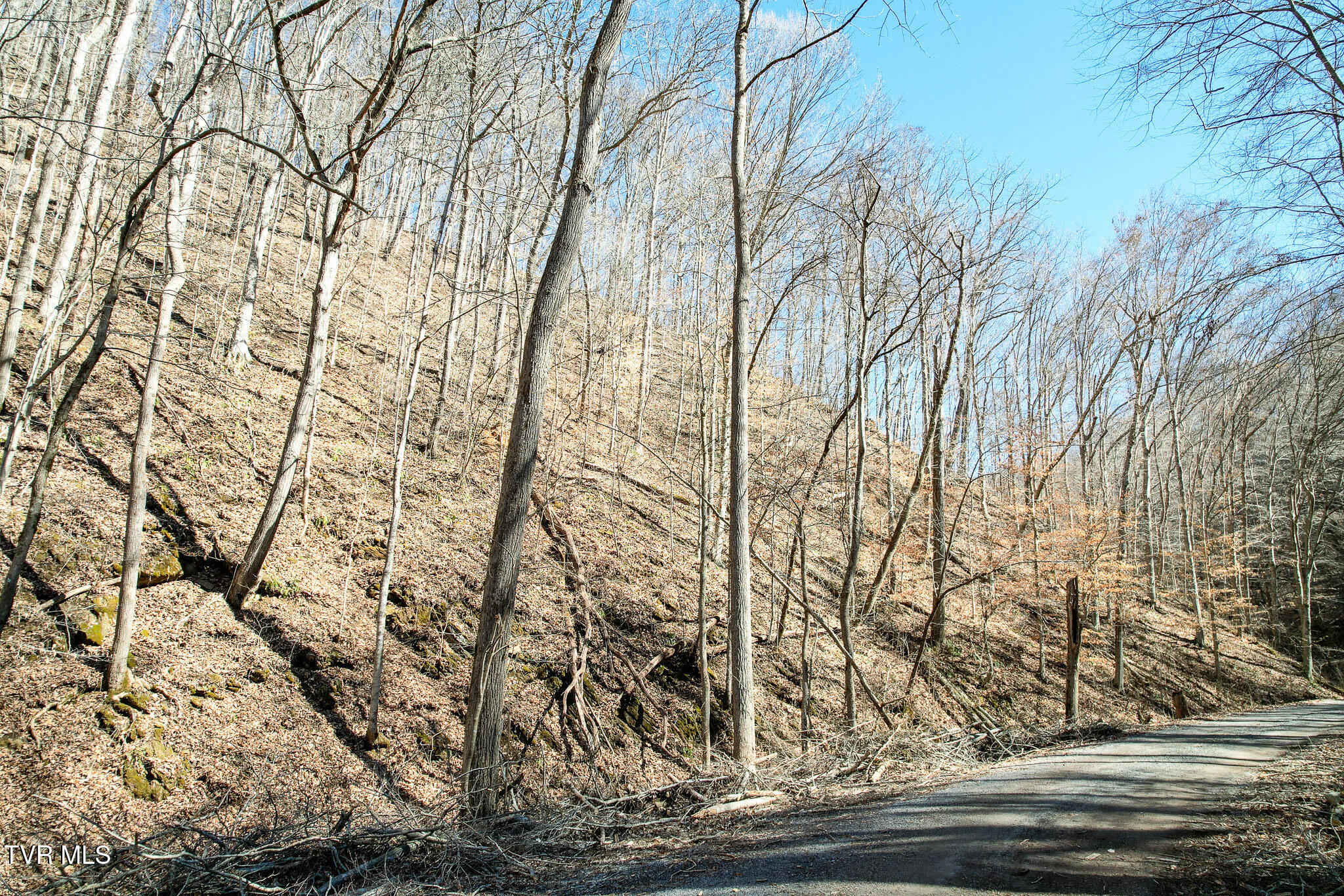 2929 Bear Hollow Road Property Photo 39