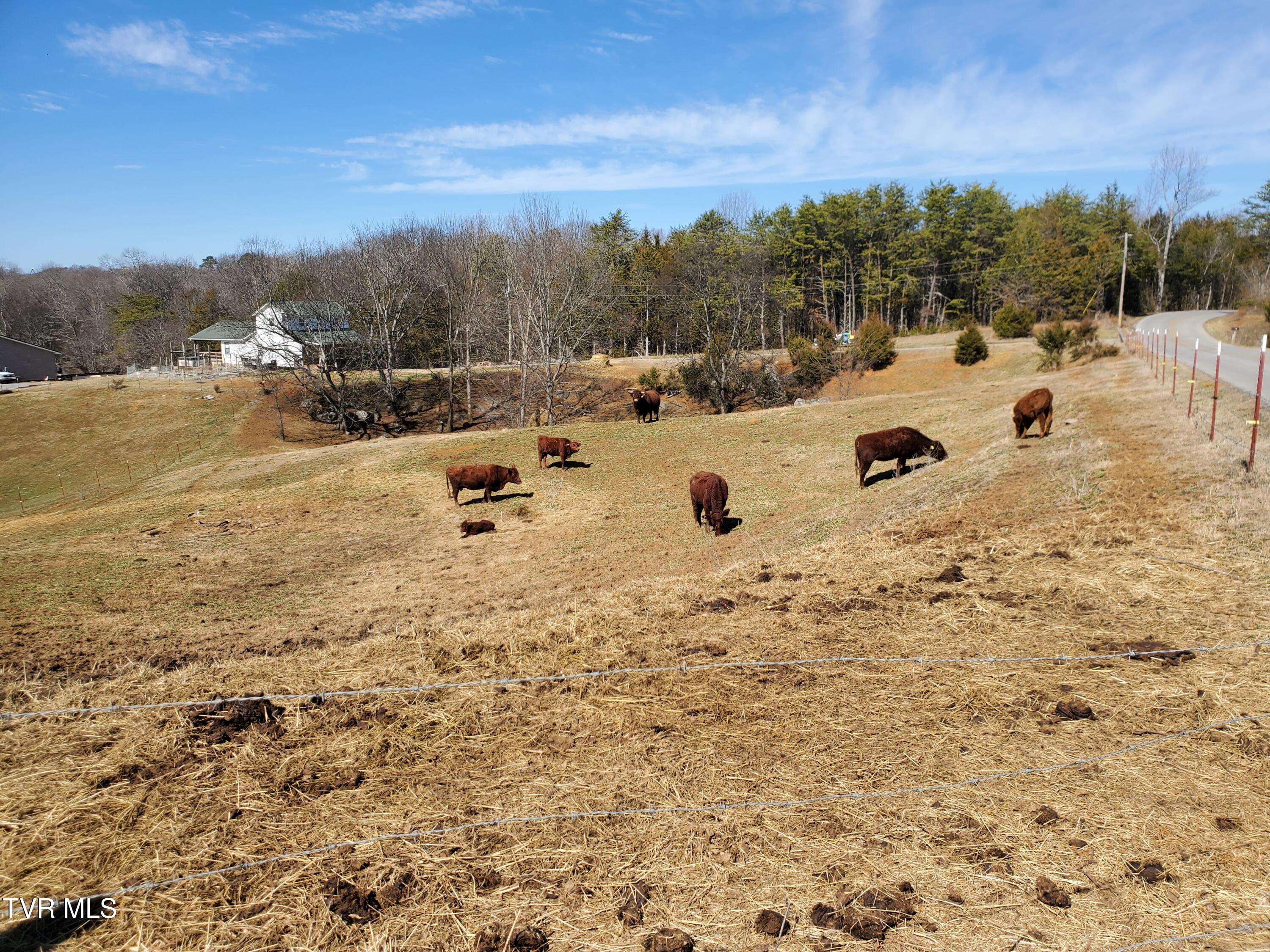 1369 Bright Hope Rd Road Property Photo 48