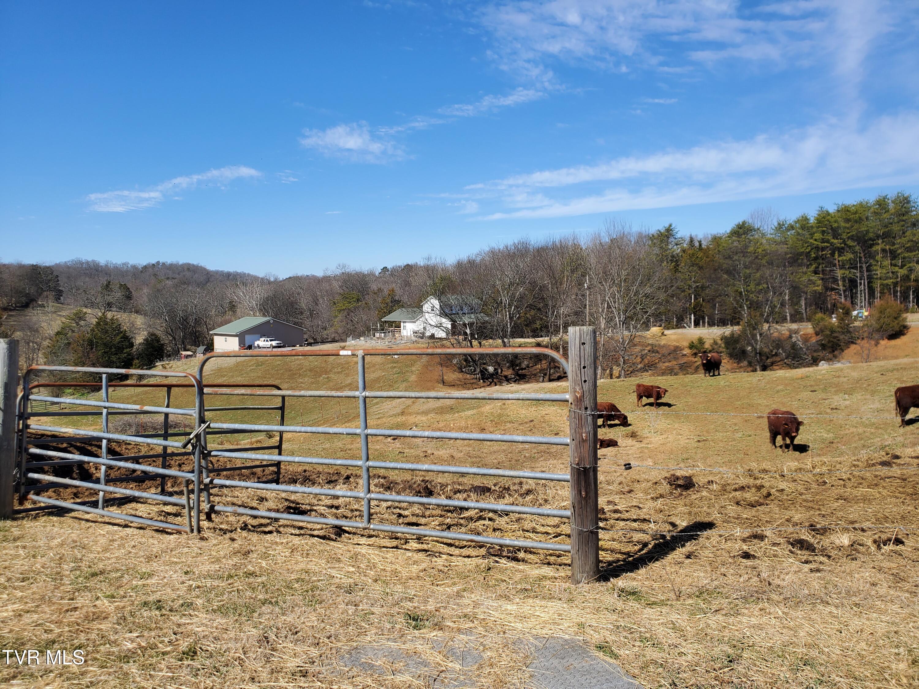1369 Bright Hope Rd Road Property Photo 49
