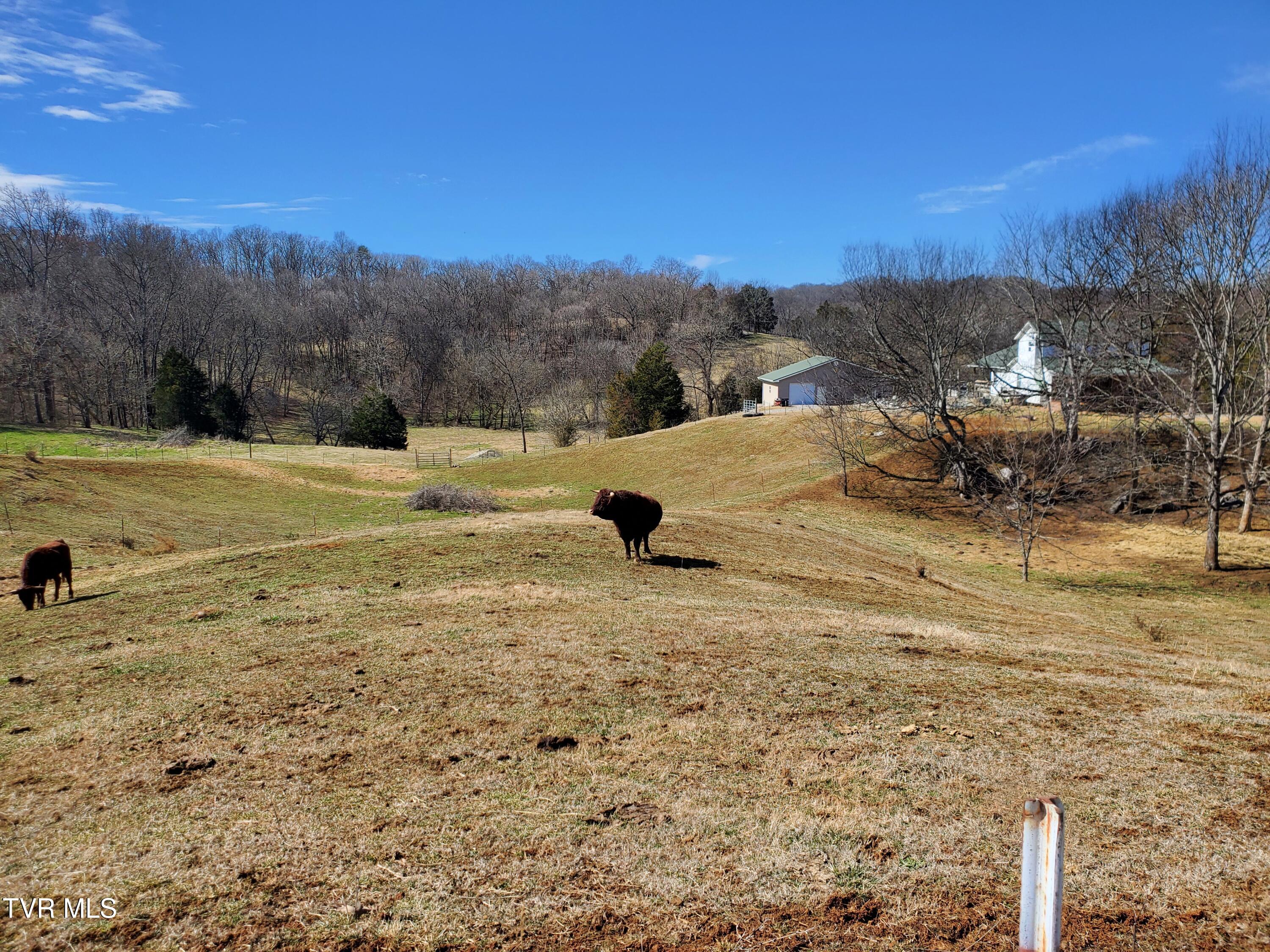1369 Bright Hope Rd Road Property Photo 50