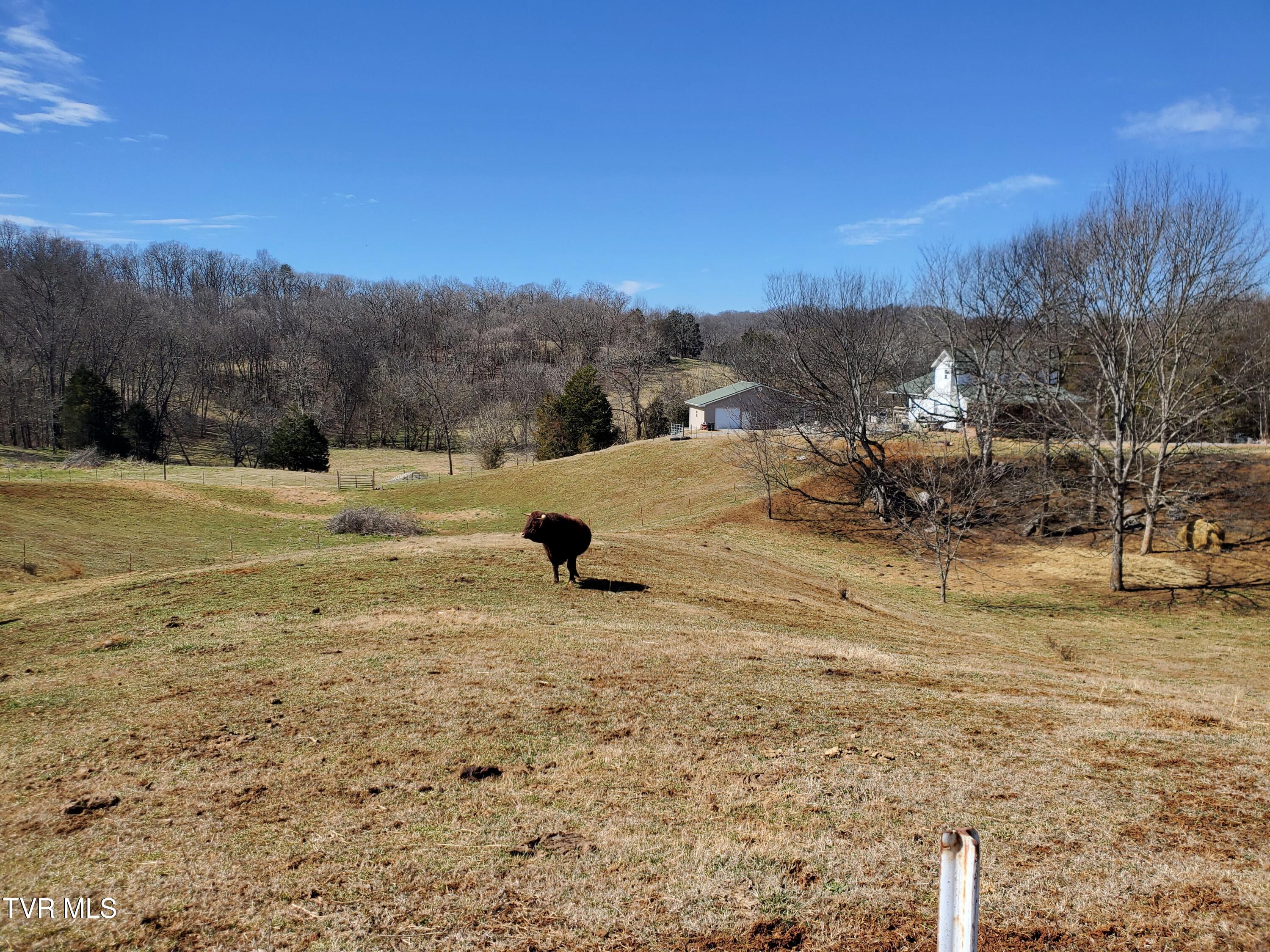 1369 Bright Hope Rd Road Property Photo 52
