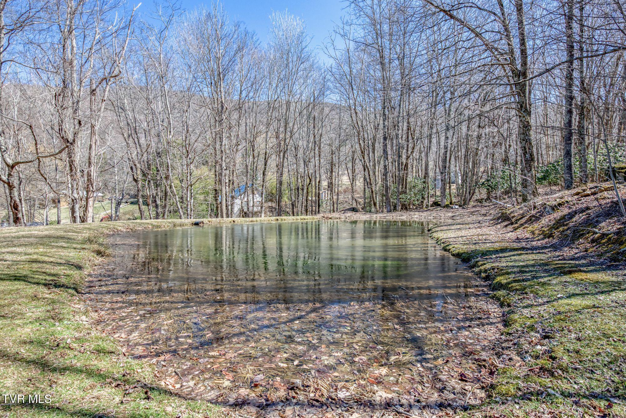 752 Heaton Creek Rd. Property Photo 40