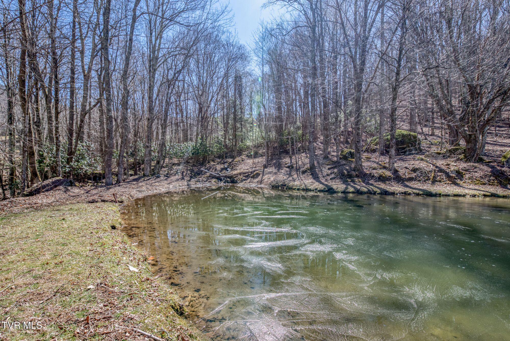 752 Heaton Creek Rd. Property Photo 43