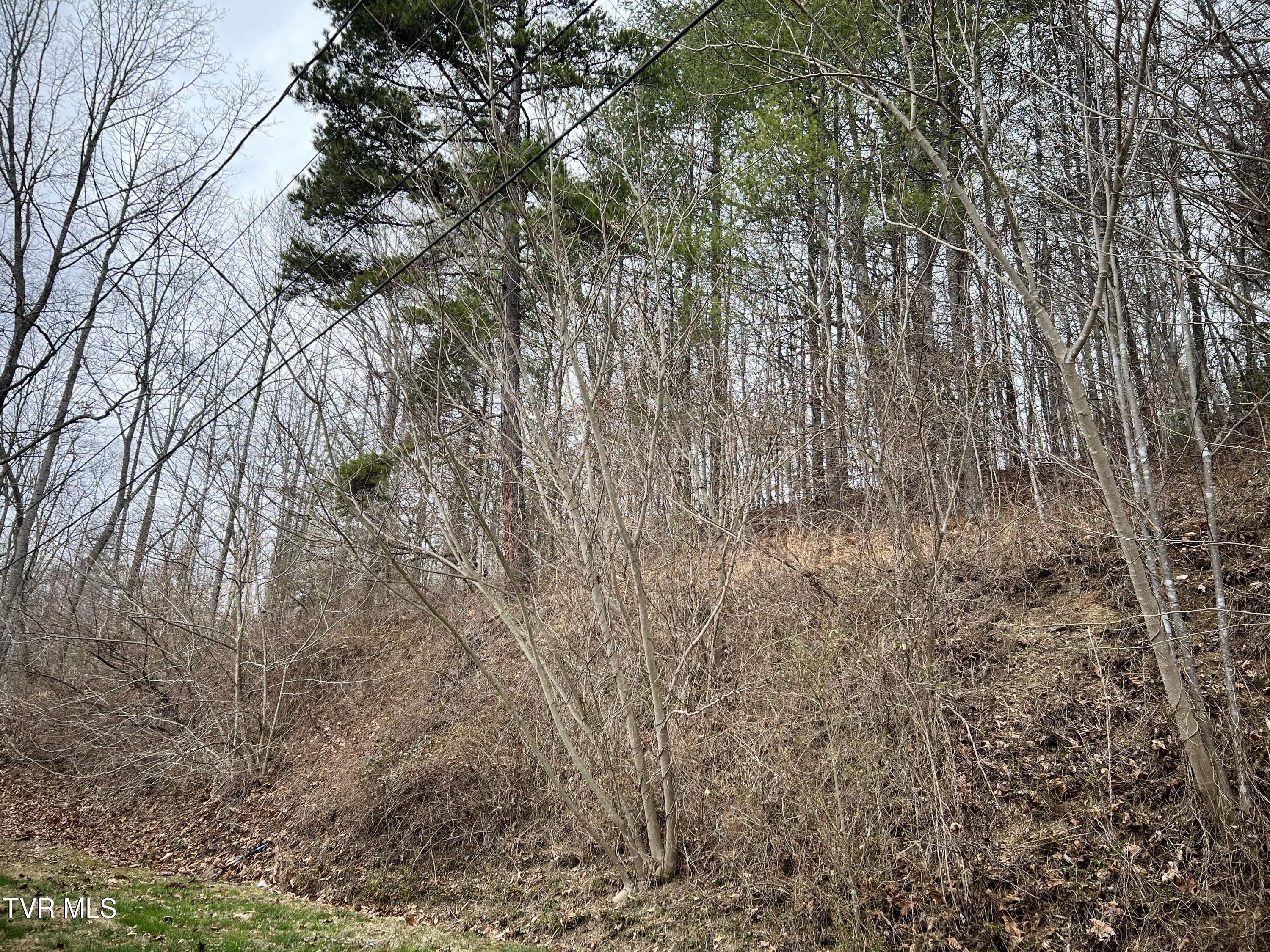11511 Magnolia Street Property Photo 5