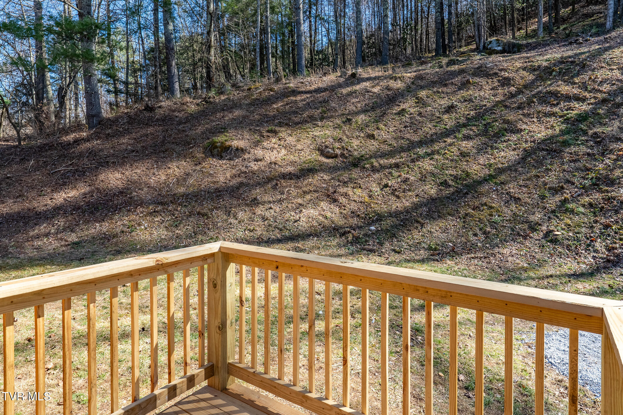 307 Piney Grove Road Property Photo 22